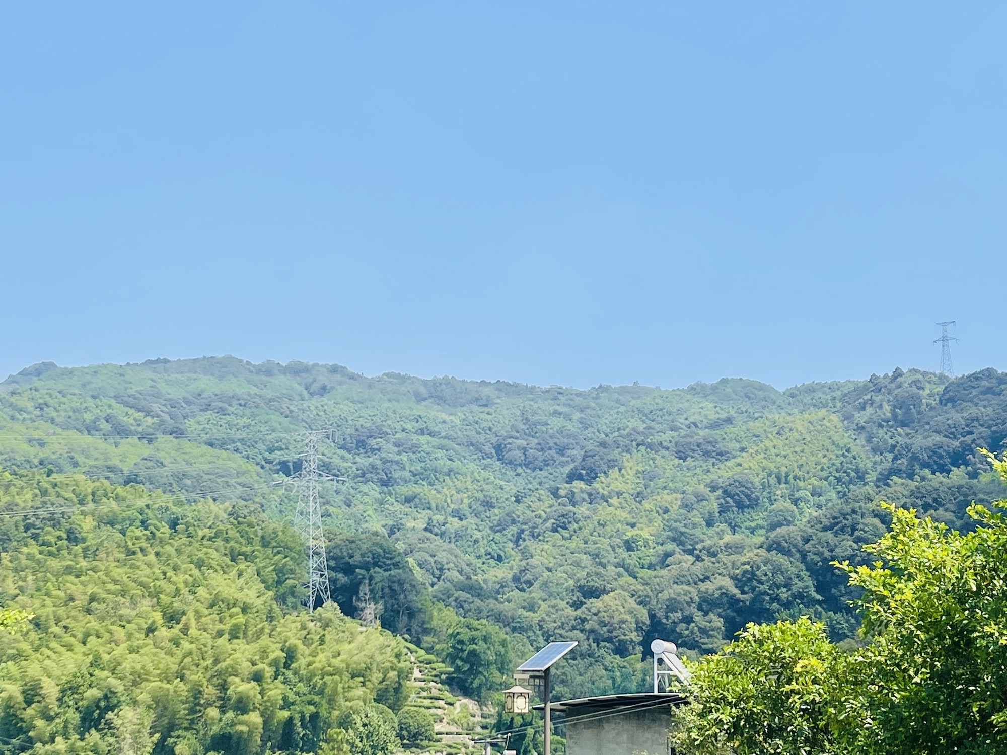 重庆毓青山国家森林公园旅行图片 2