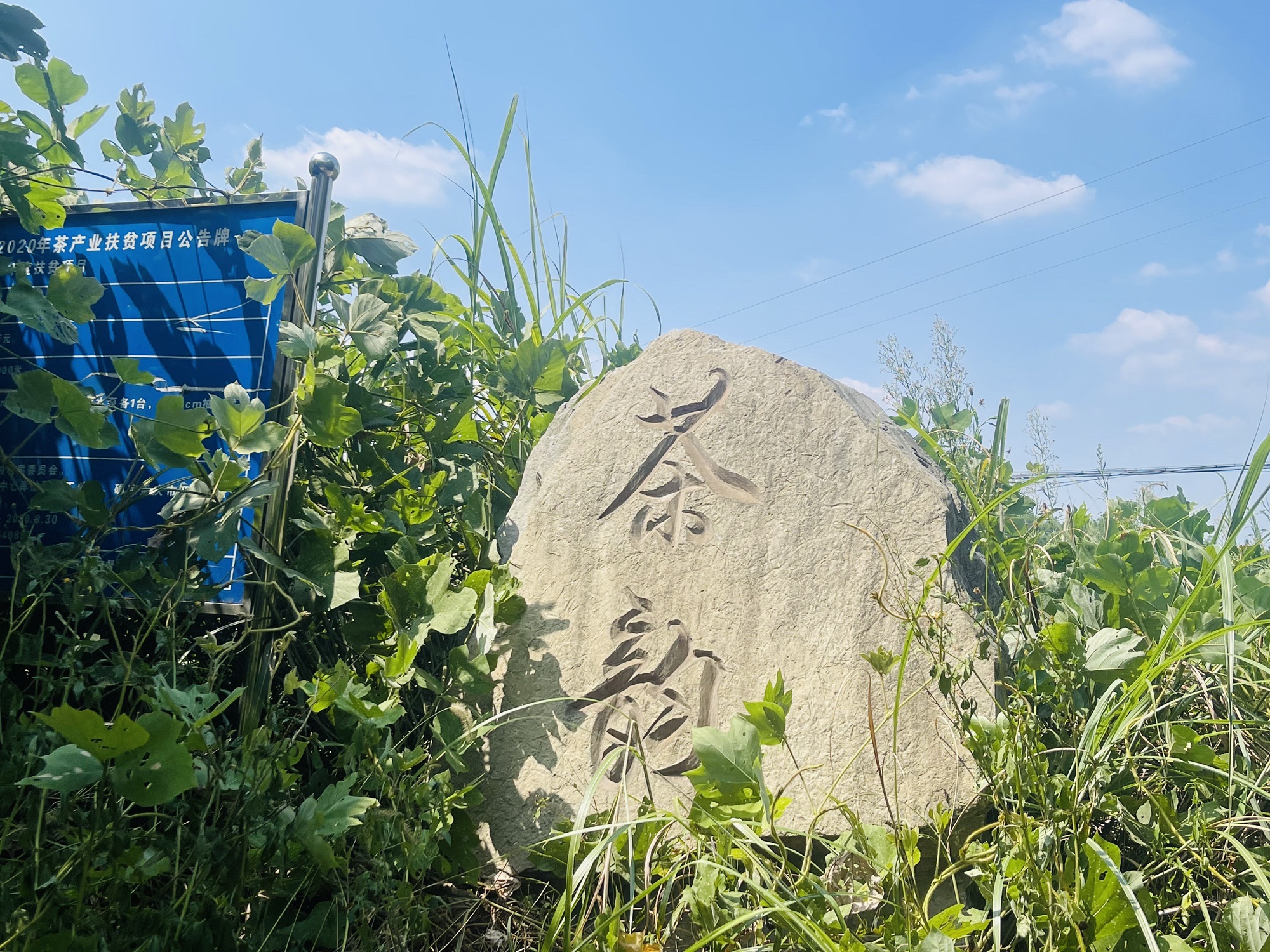 重庆毓青山国家森林公园旅行图片 1