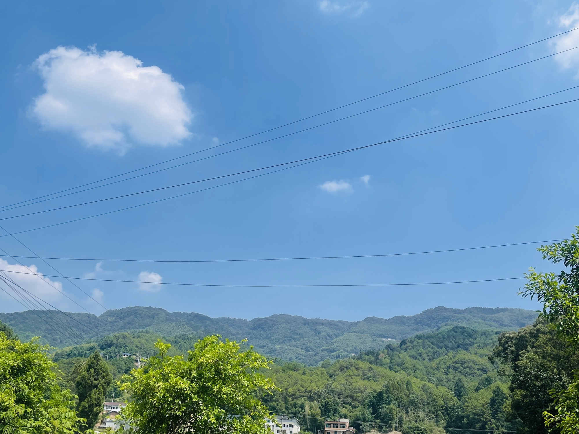 重庆毓青山国家森林公园旅行图片 3