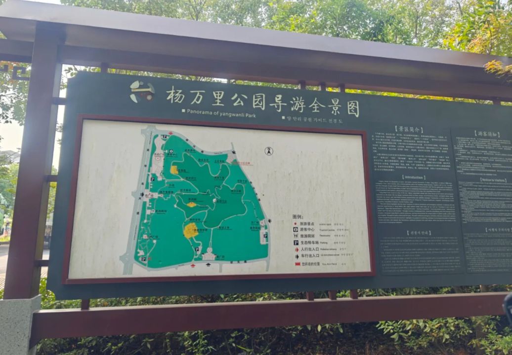 杨万里公园旅行图片 2