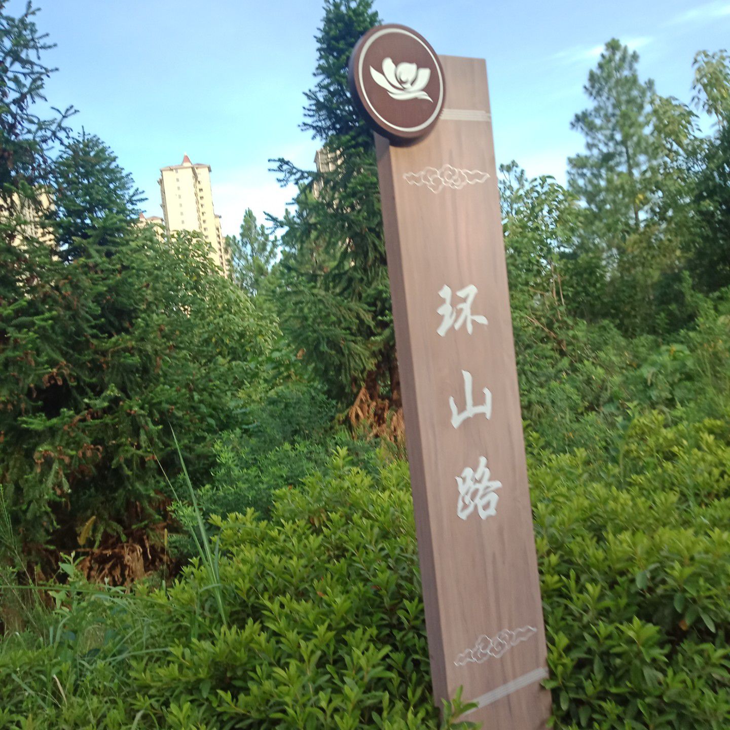 杨万里公园旅行图片 1