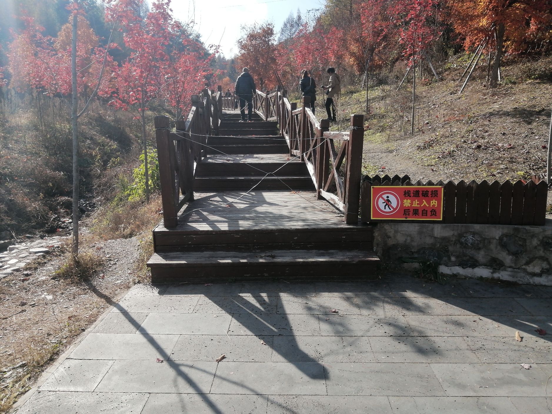 枫叶谷栈道旅行图片 3