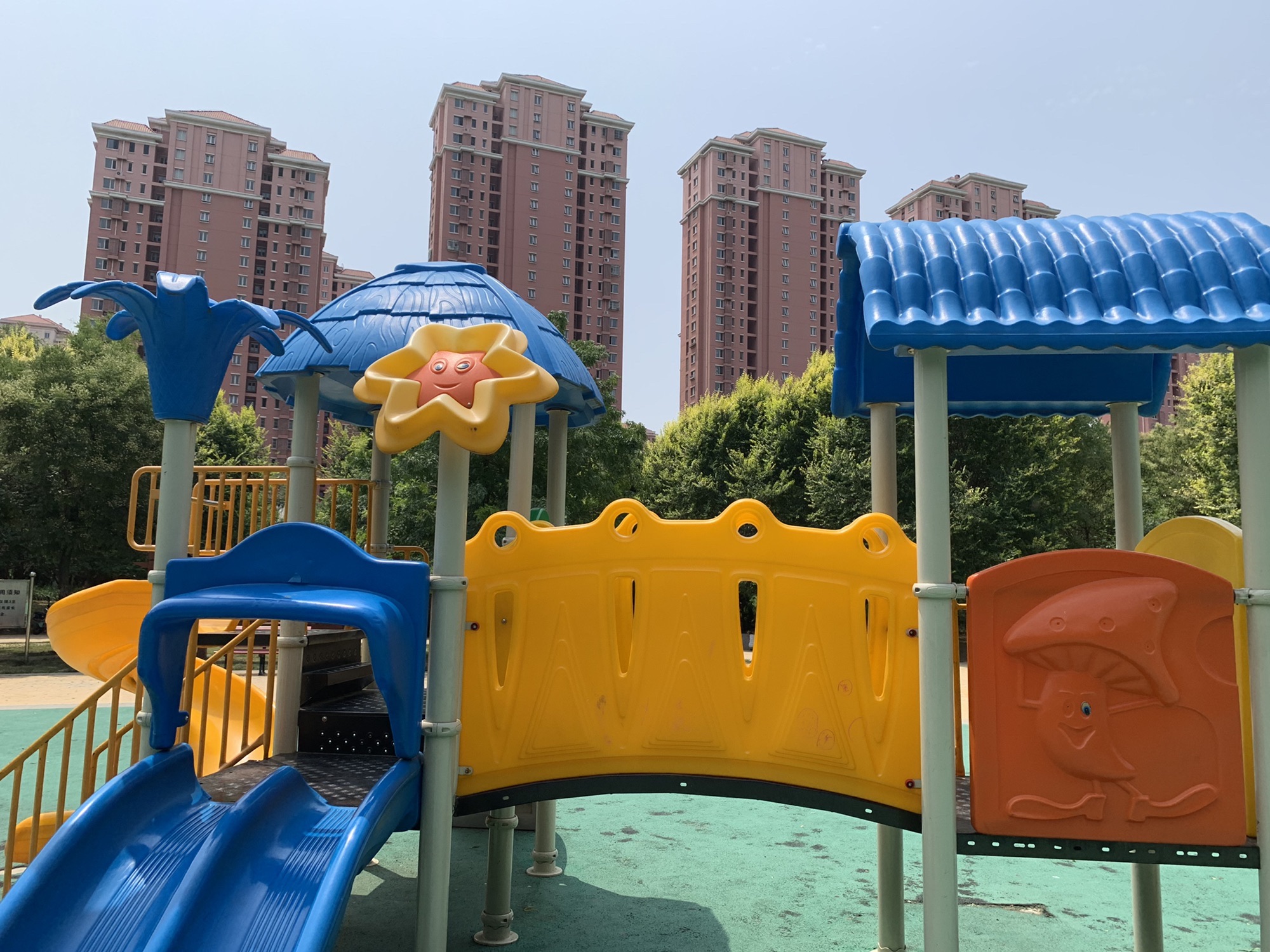 双青公园旅行图片 2