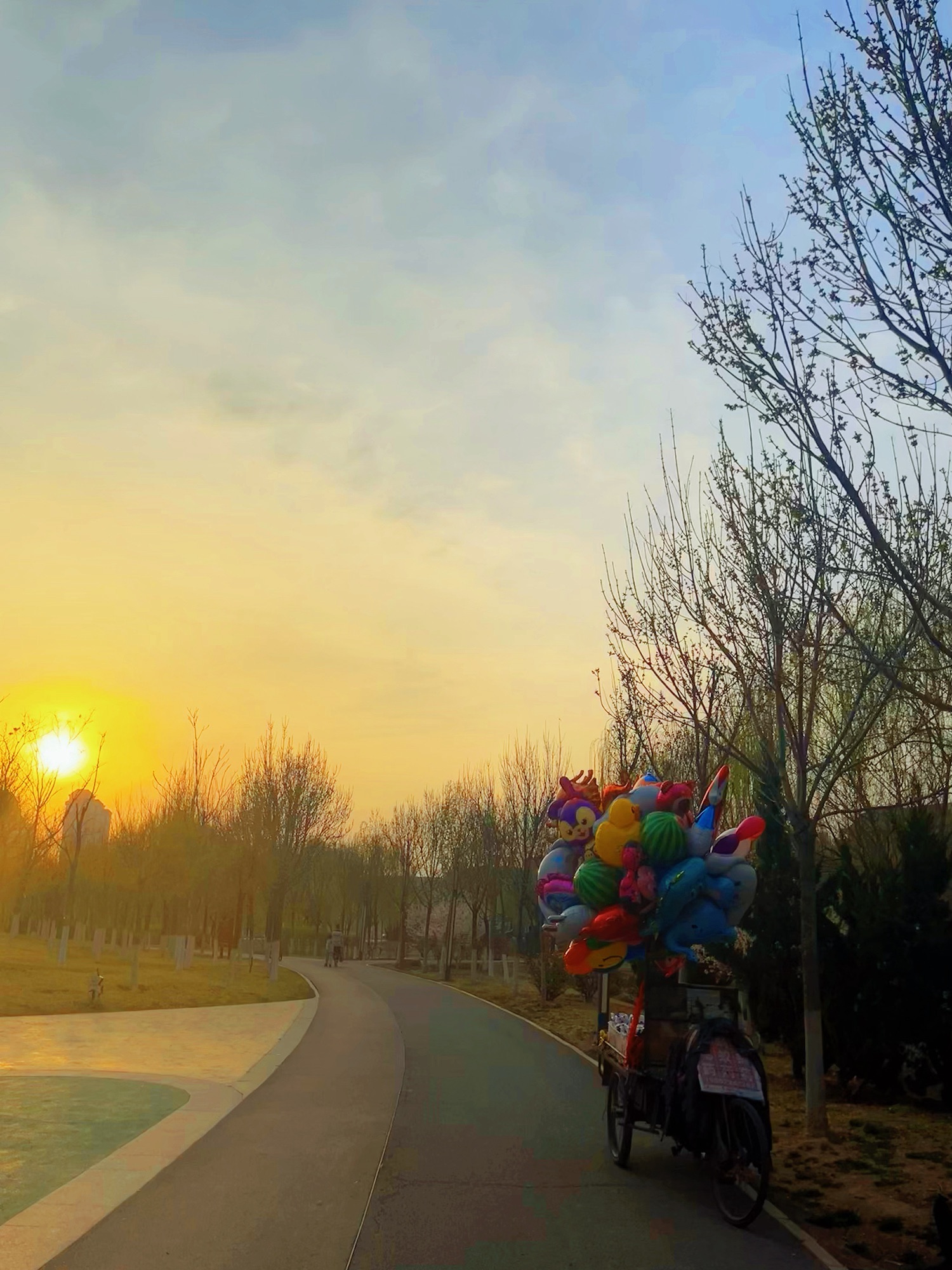 双青公园旅行图片 2
