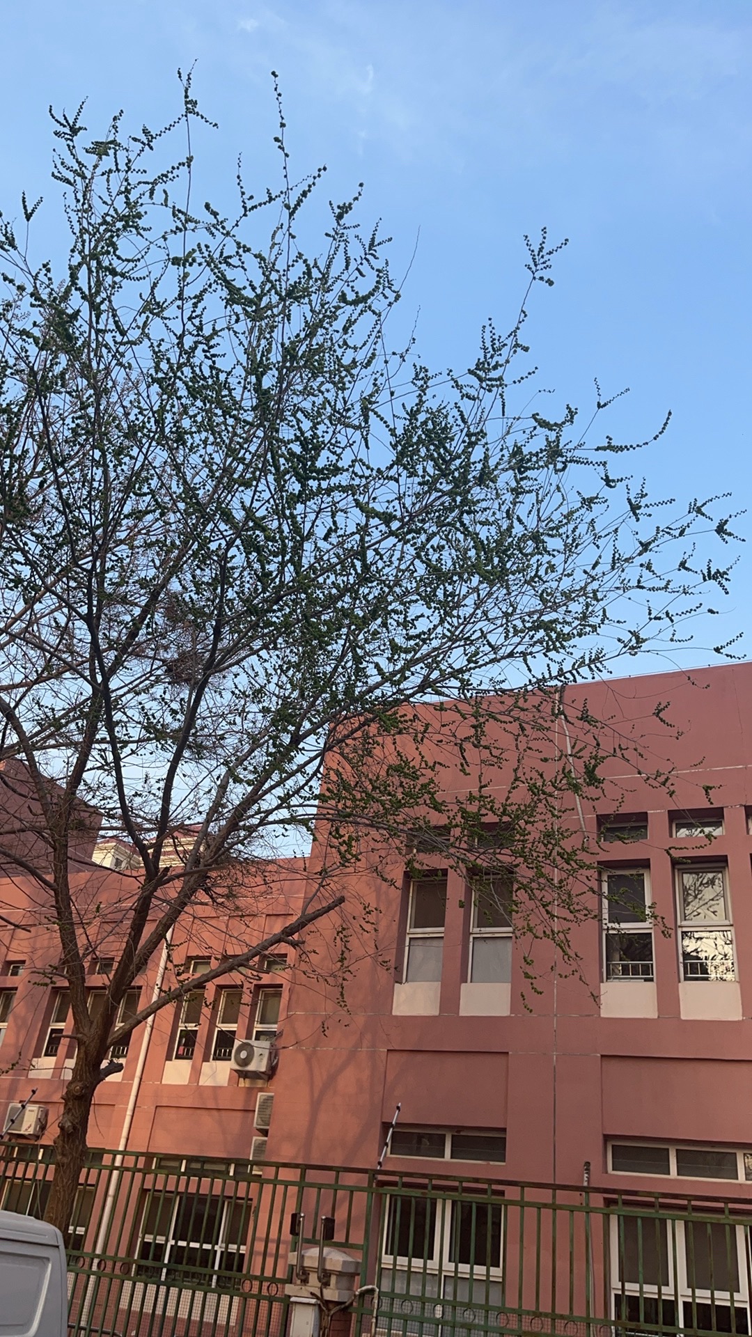 双青公园旅行图片 3
