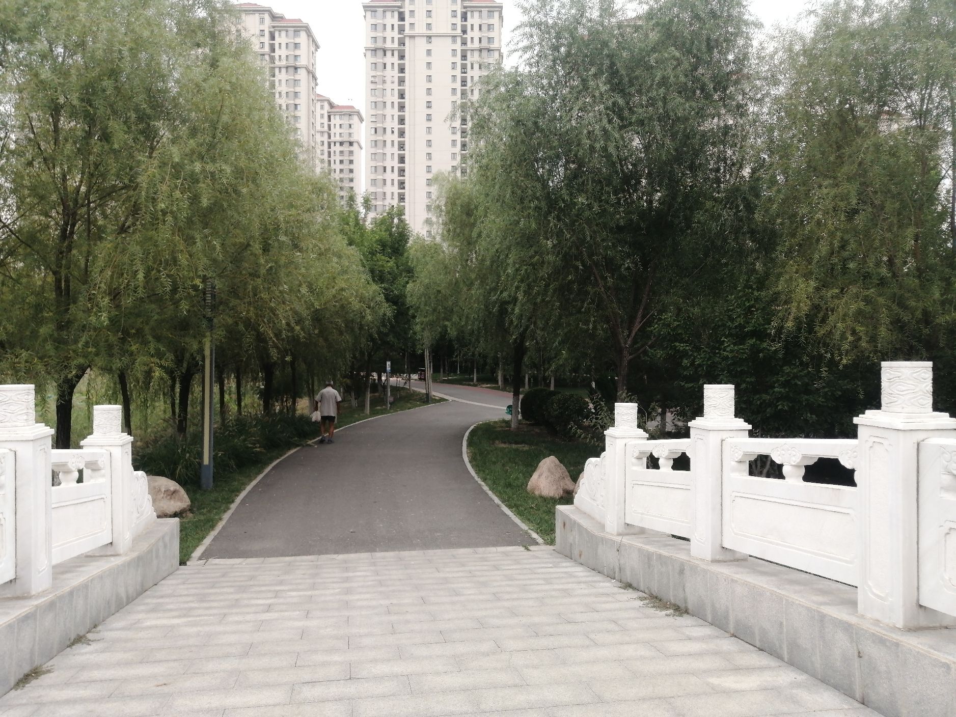 双青公园旅行图片 2