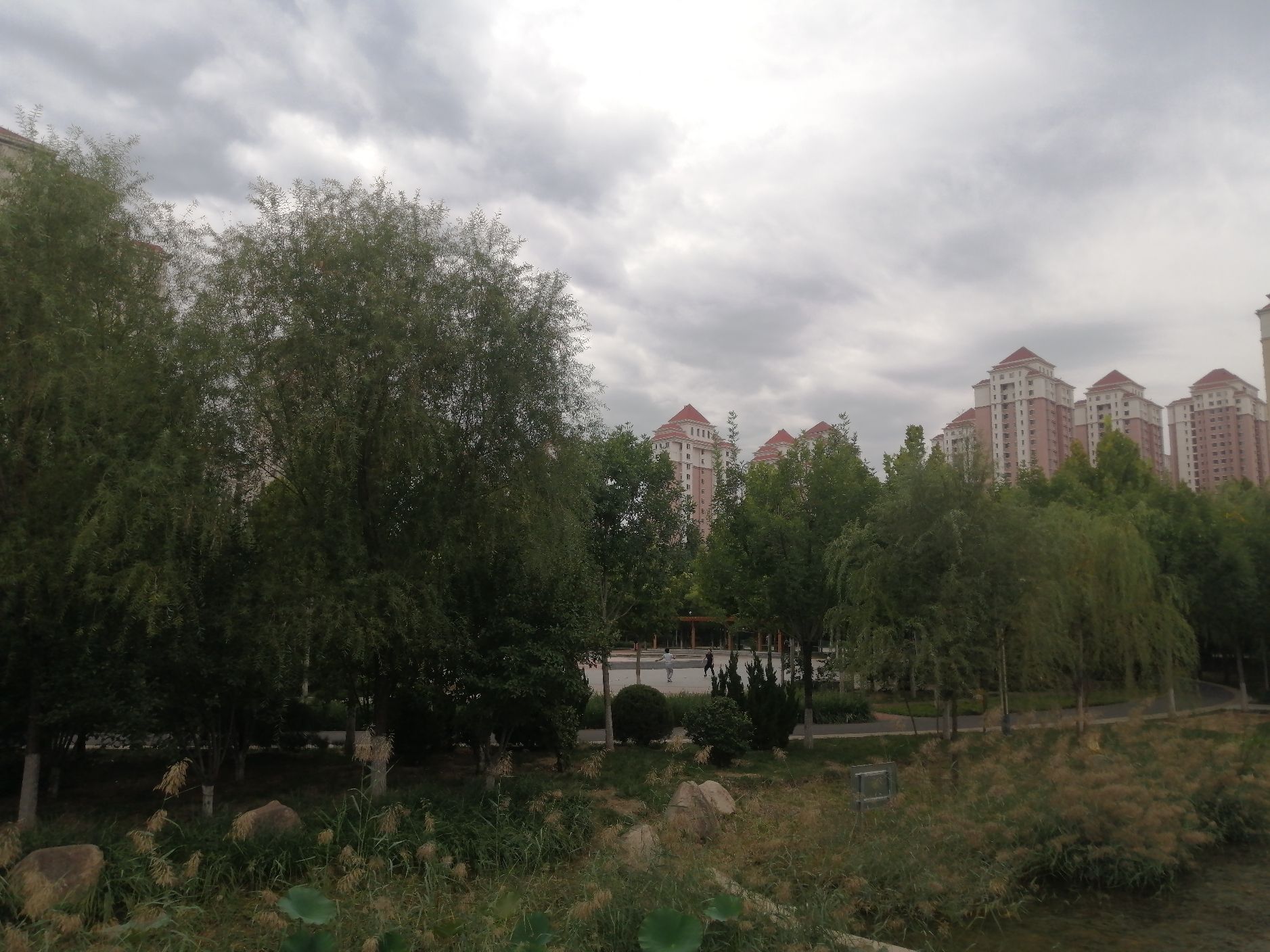 双青公园旅行图片 3