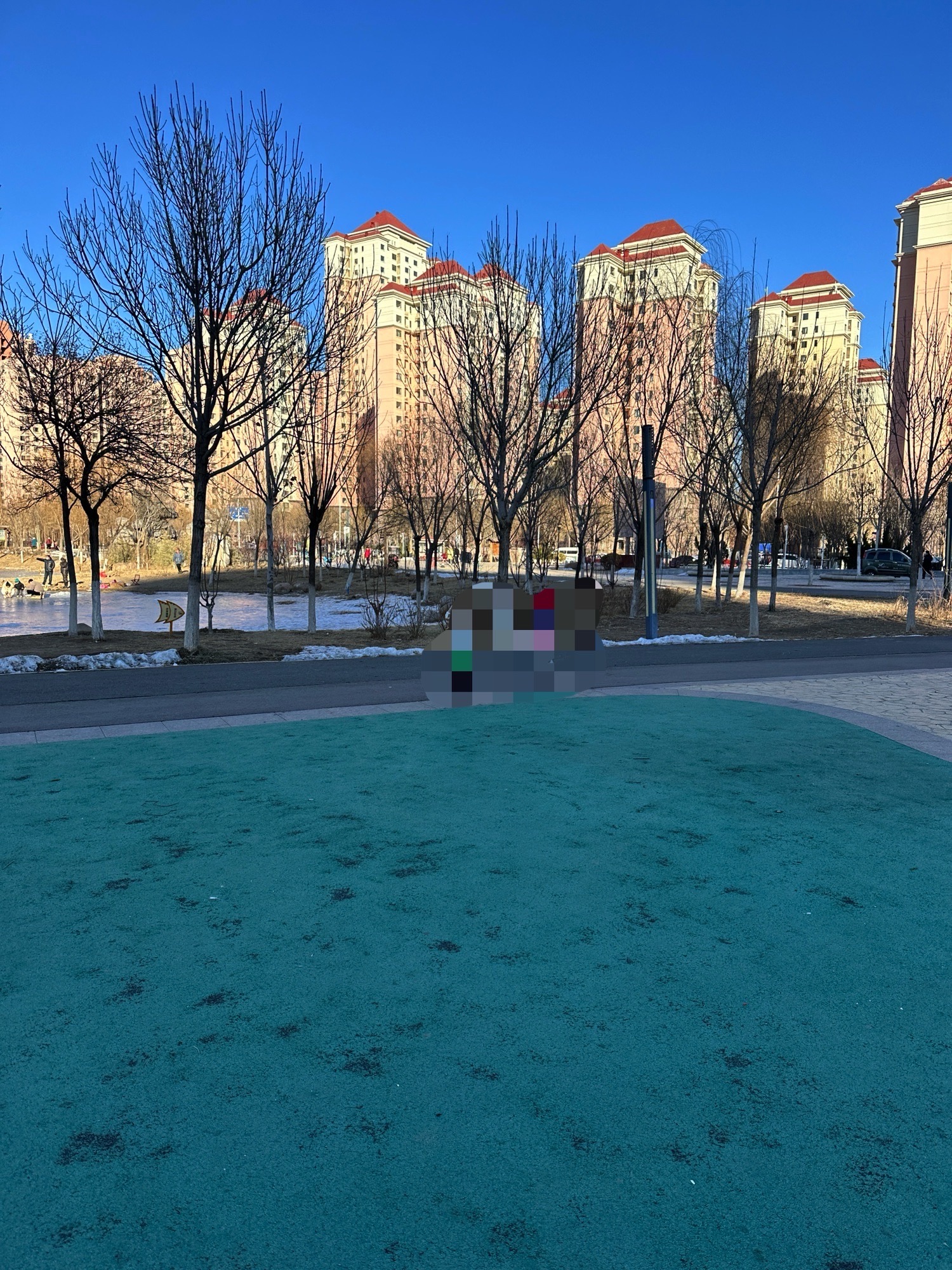 双青公园旅行图片 1