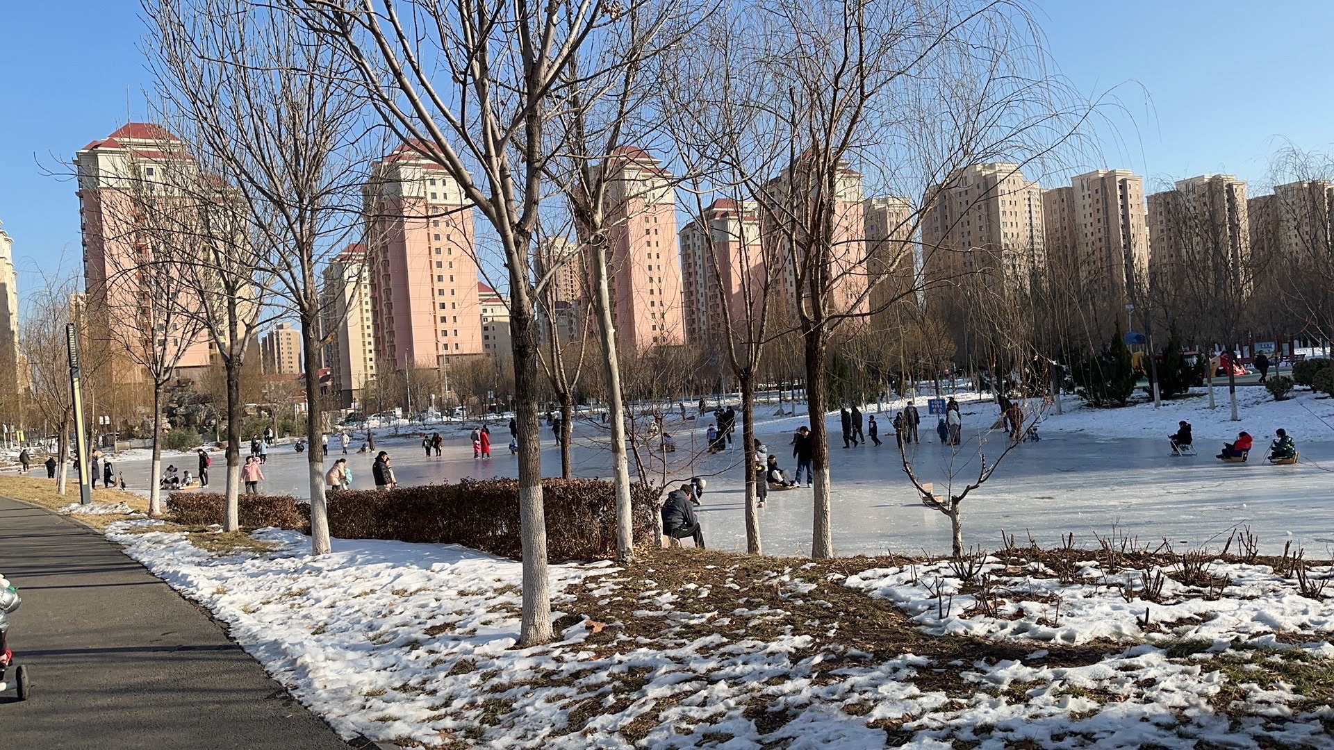 双青公园旅行图片 3