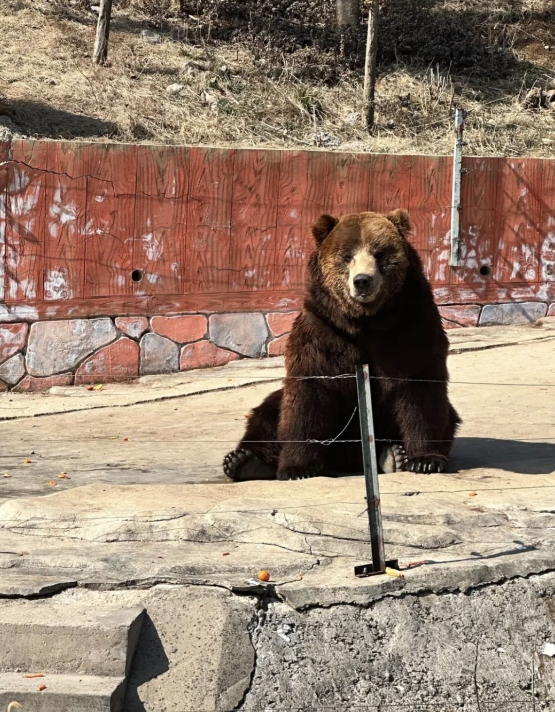 金牛湖野生动物王国旅行图片 2