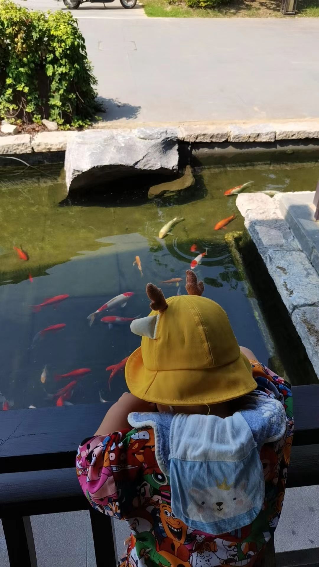 金牛湖野生动物王国旅行图片 2