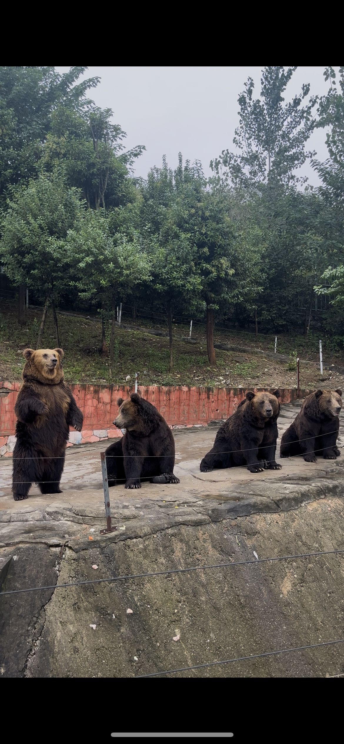 金牛湖野生动物王国旅行图片 1