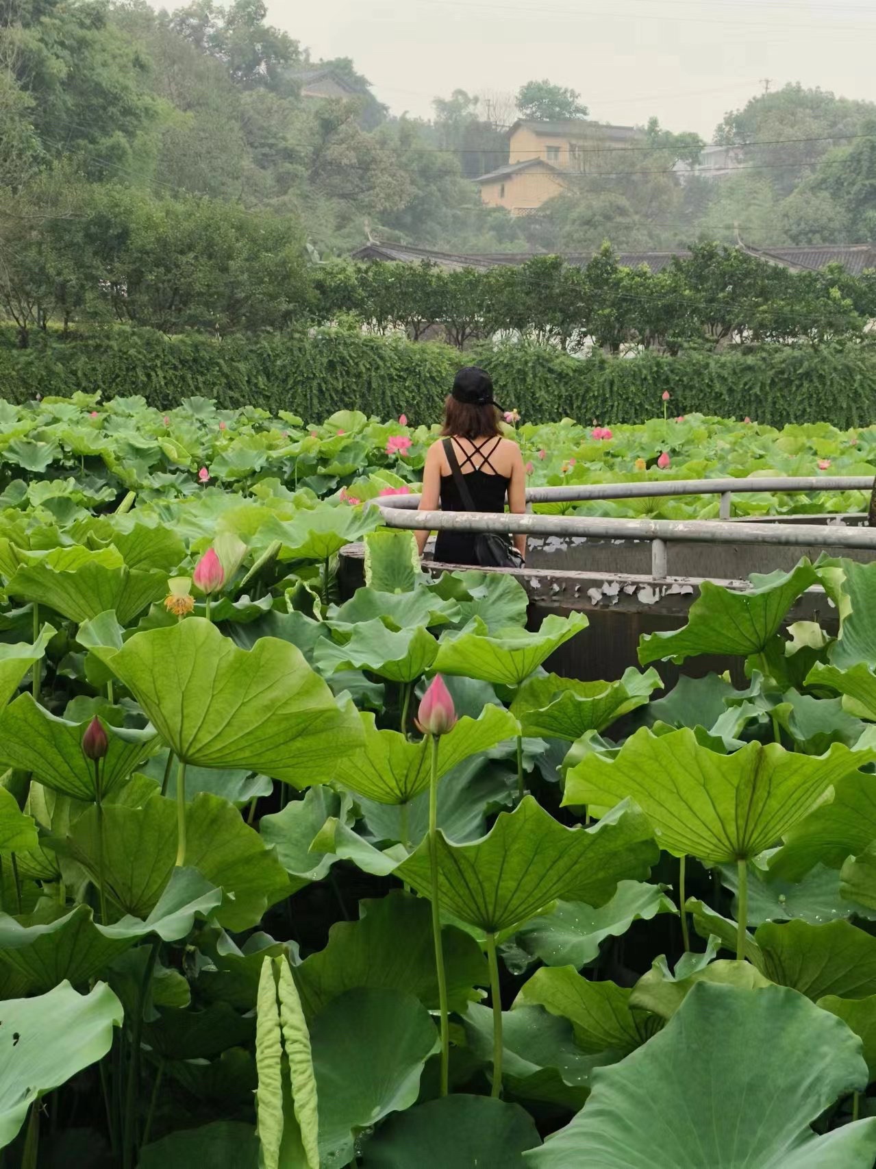 周贡植故居旅行图片 2