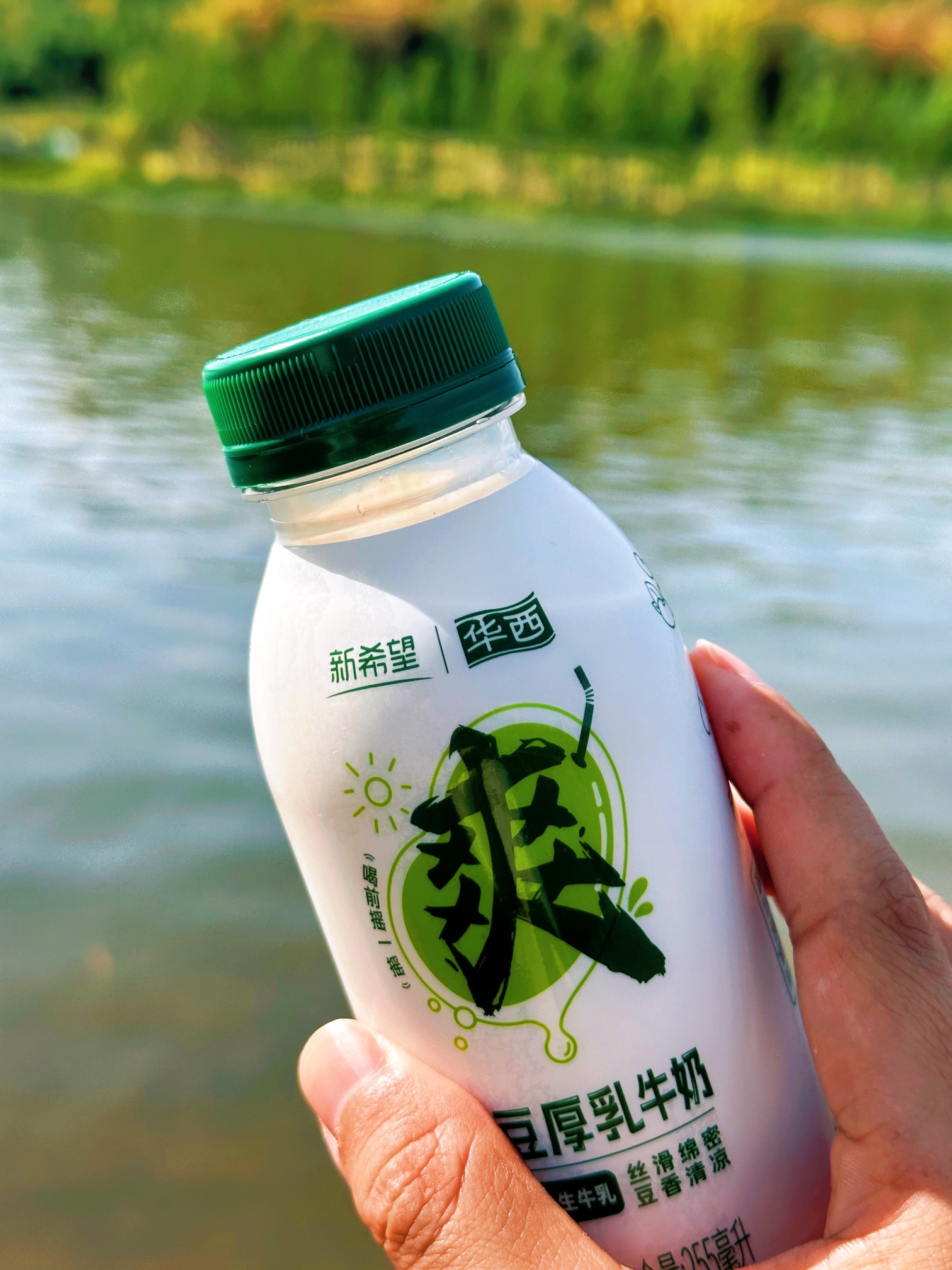 简州新城龙马湖公园旅行图片 3