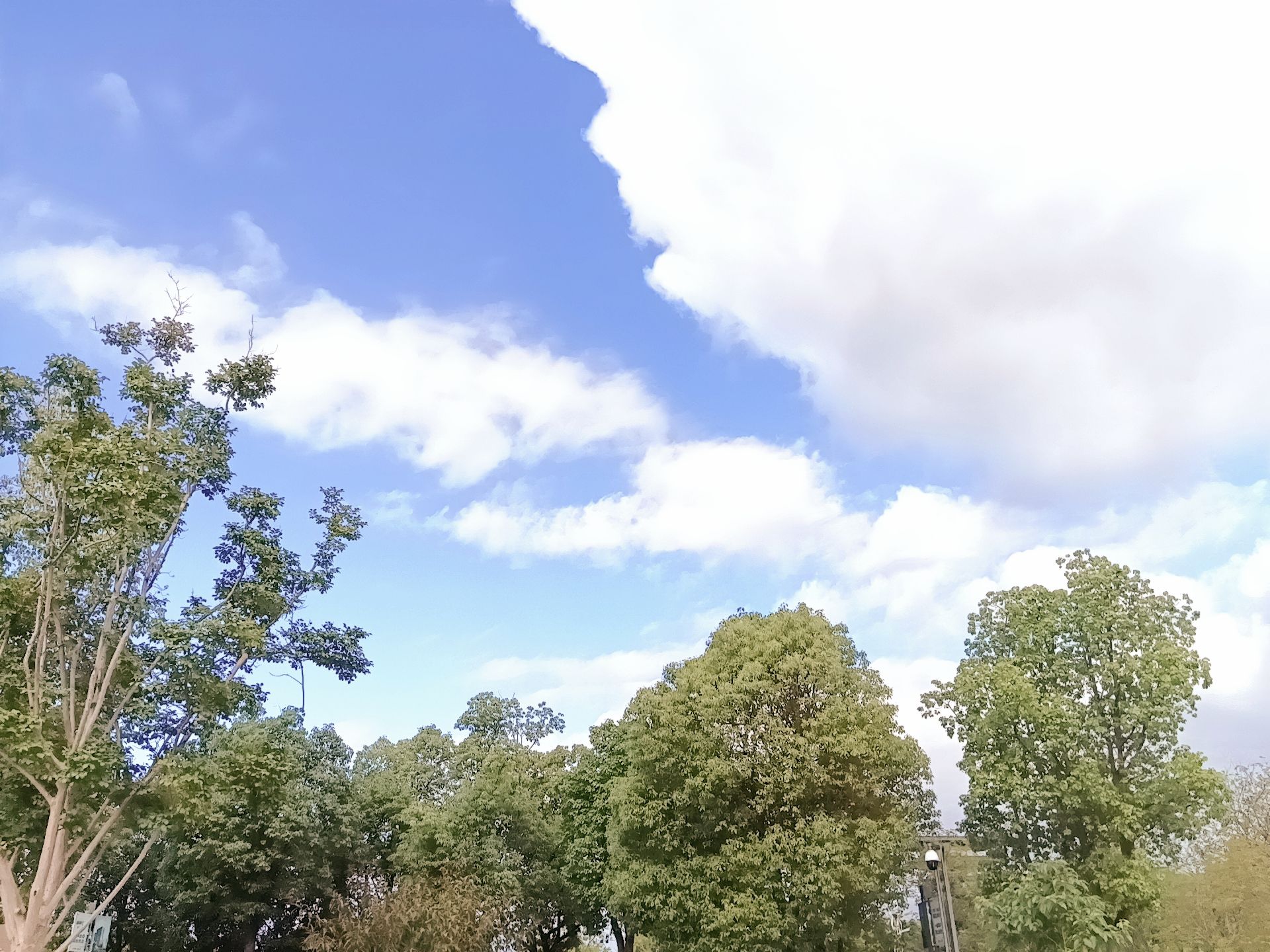 简州新城龙马湖公园旅行图片 3