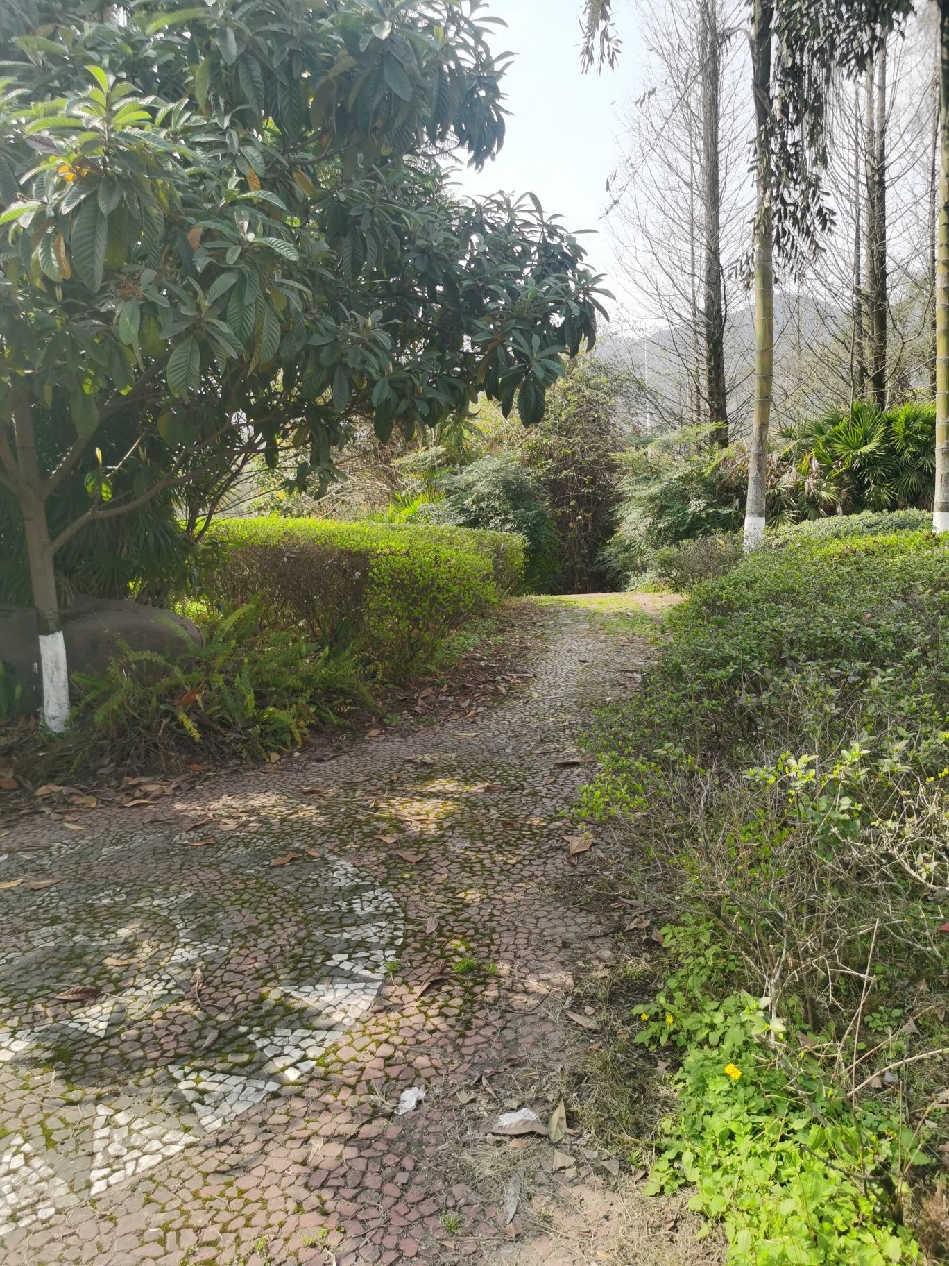渝台风情公园