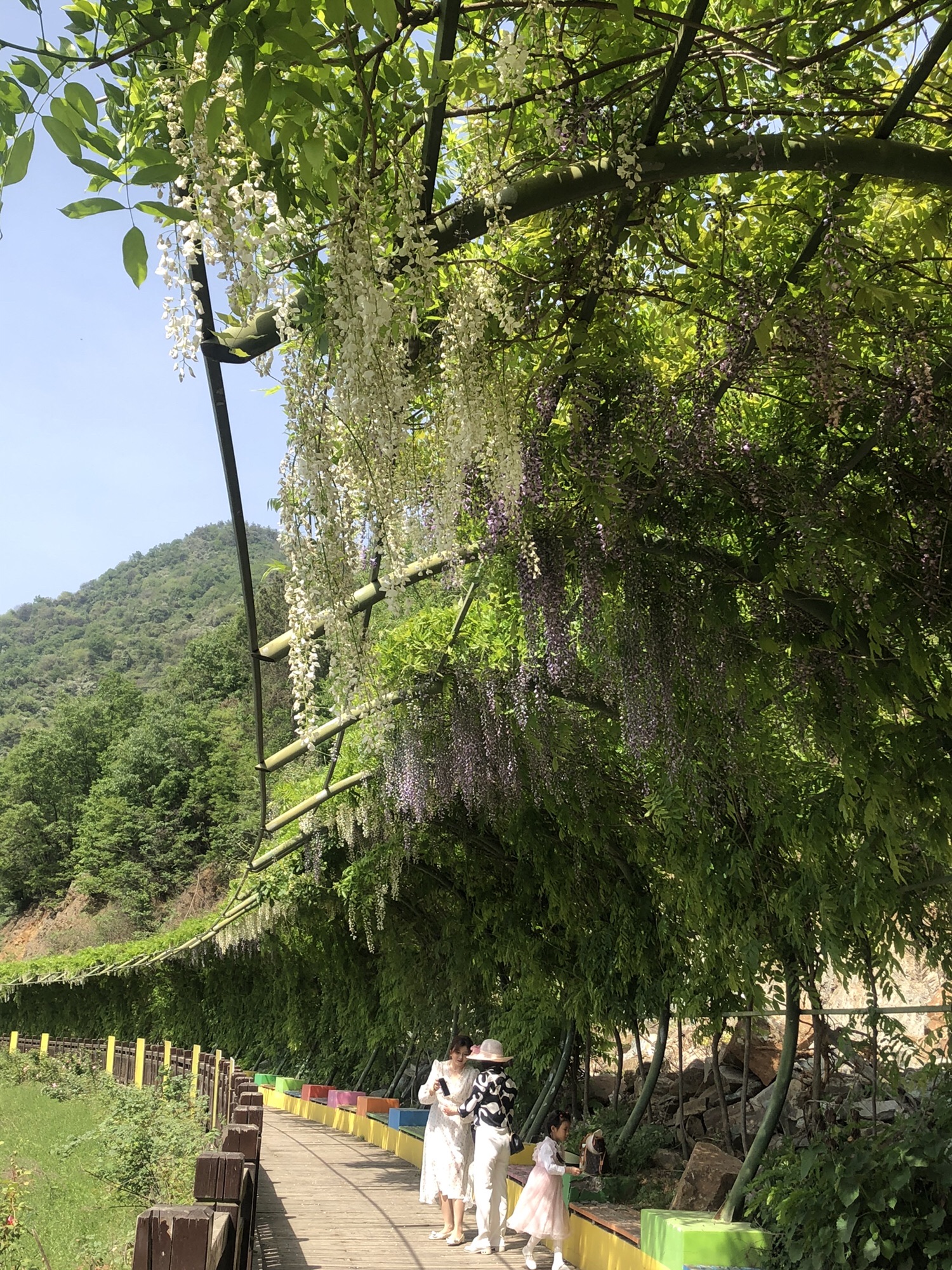 秦巴生态植物园旅行图片 2