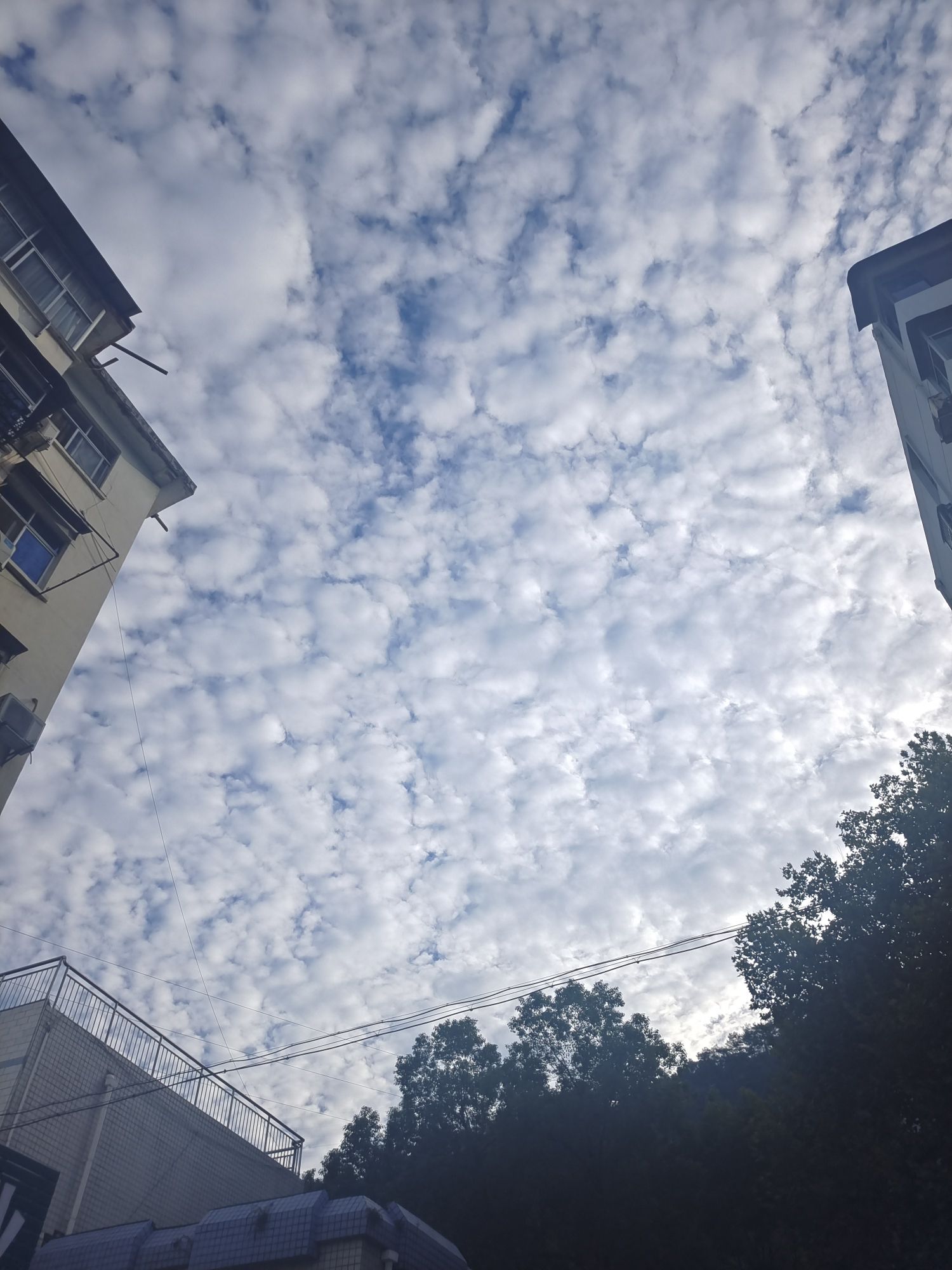 秦巴生态植物园旅行图片