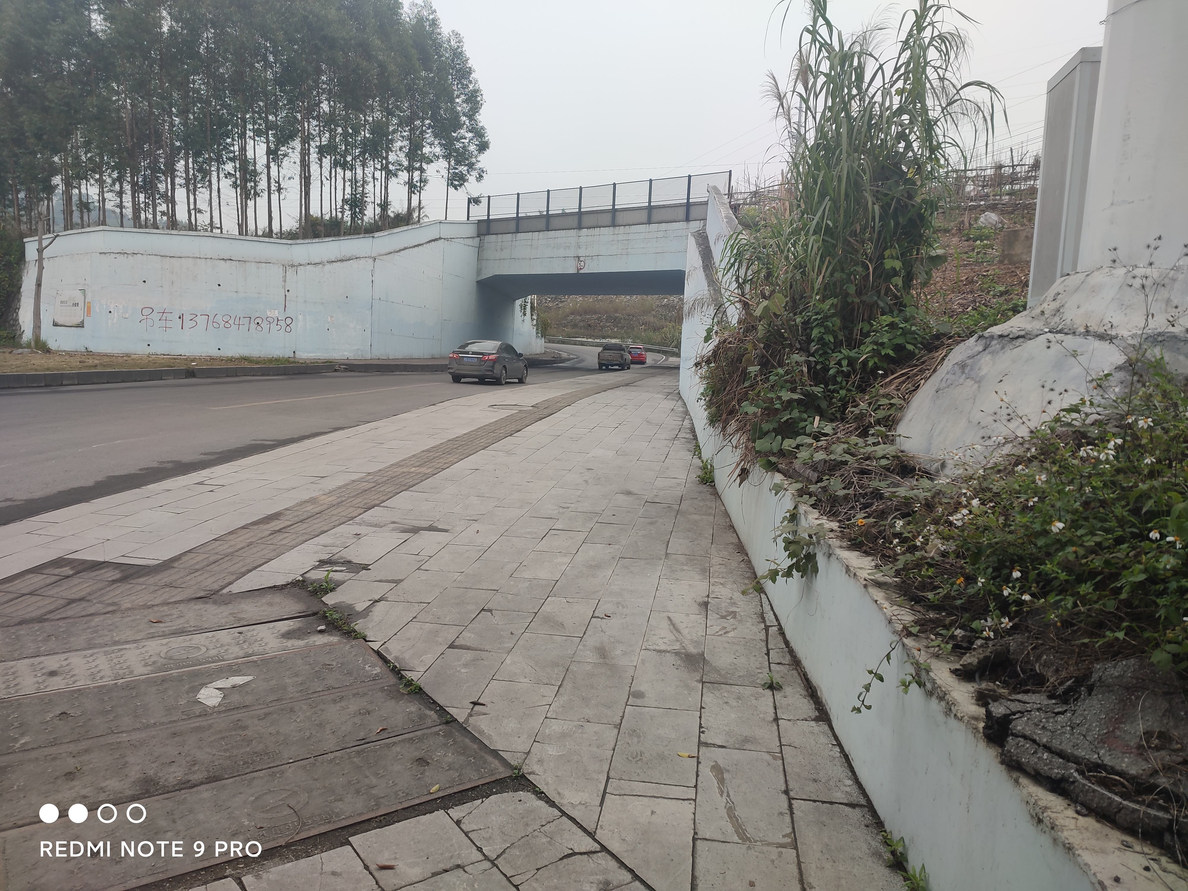 红水河公园旅行图片 3