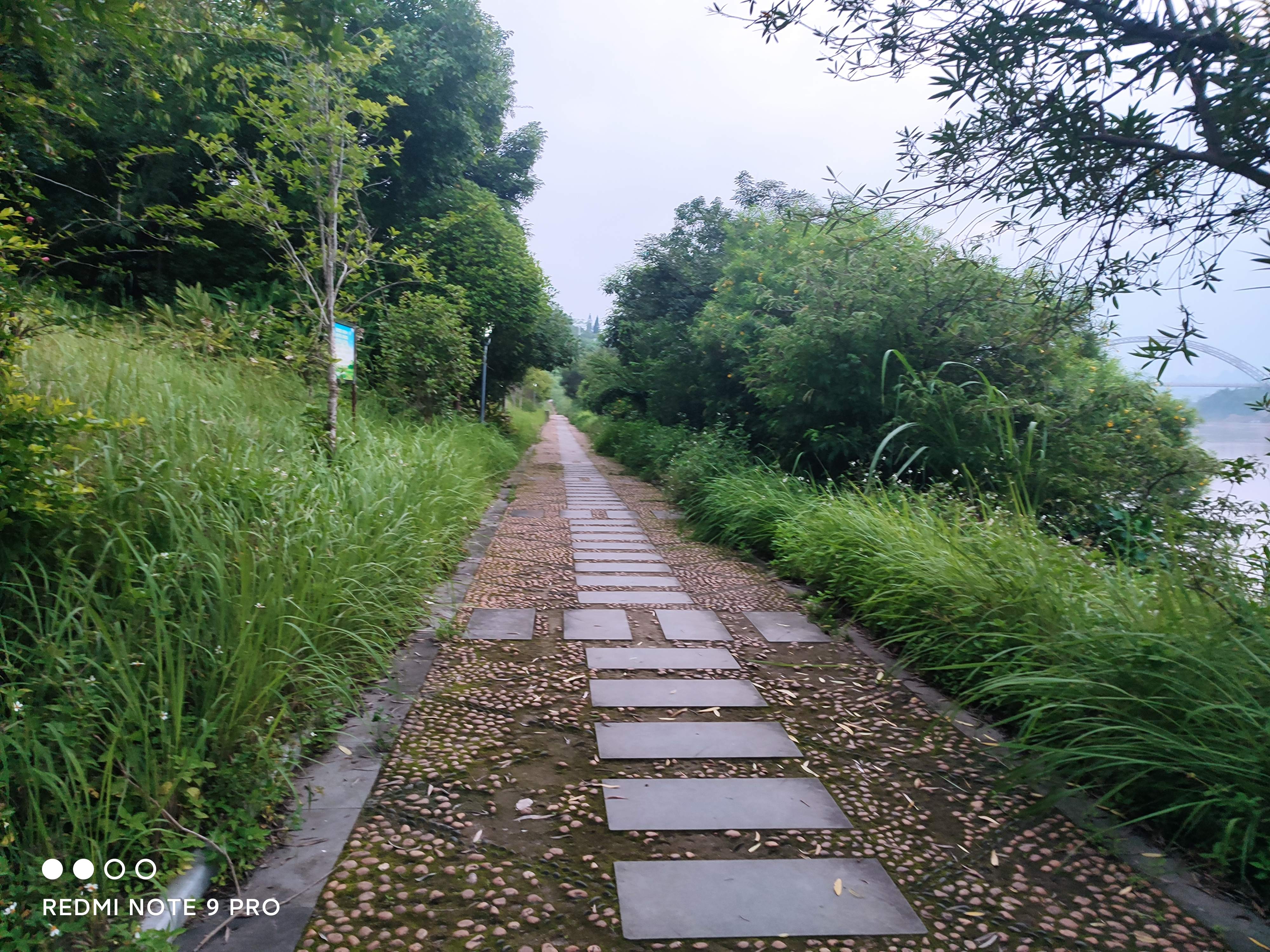 红水河公园旅行图片 2