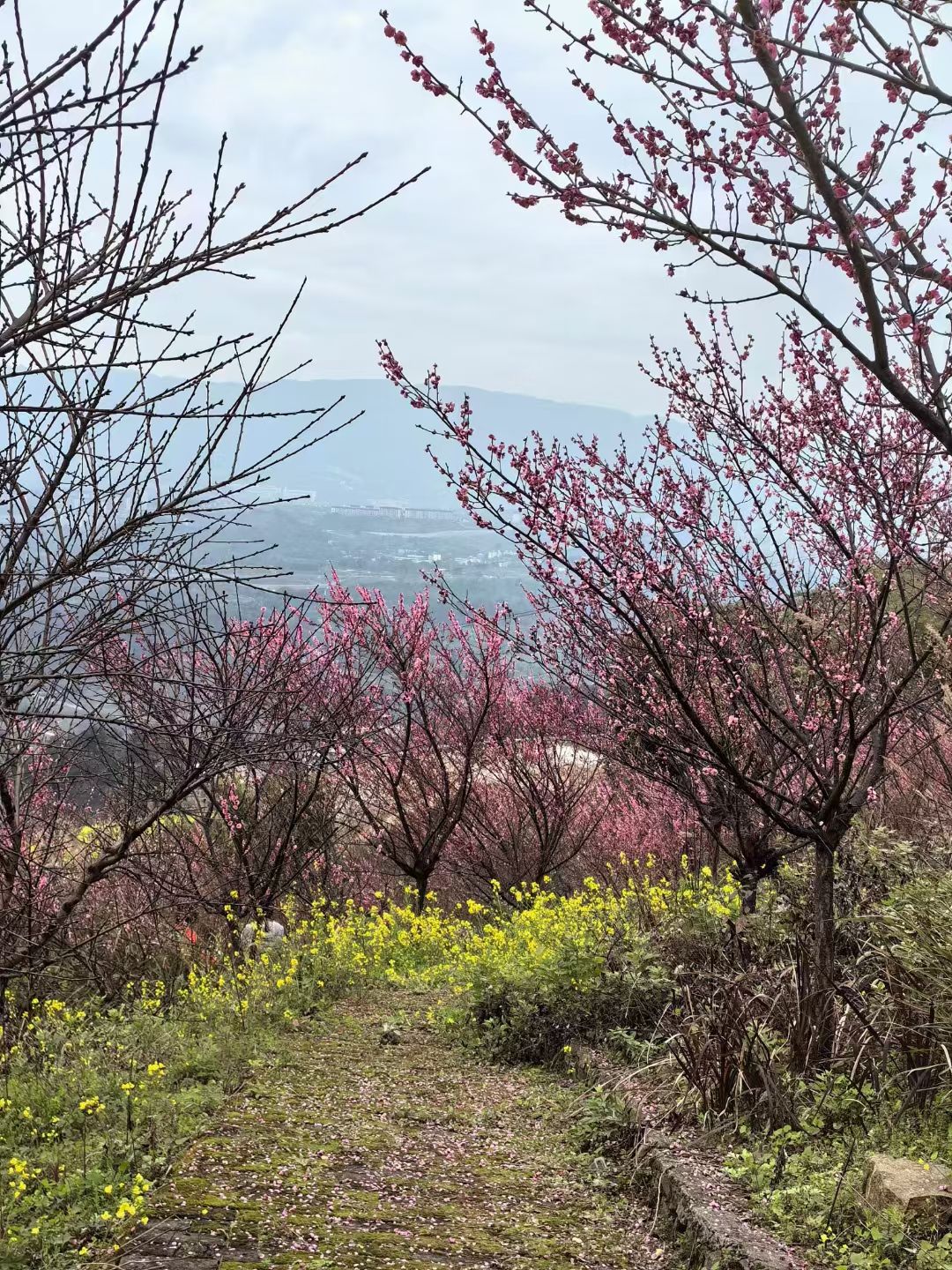 彩云乡村旅行图片 1