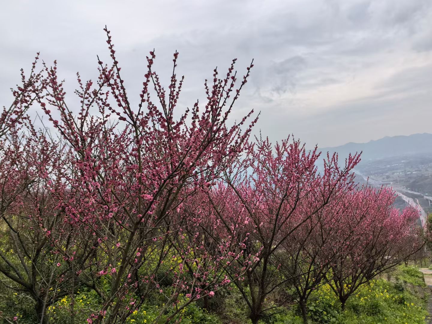 彩云乡村旅行图片 3