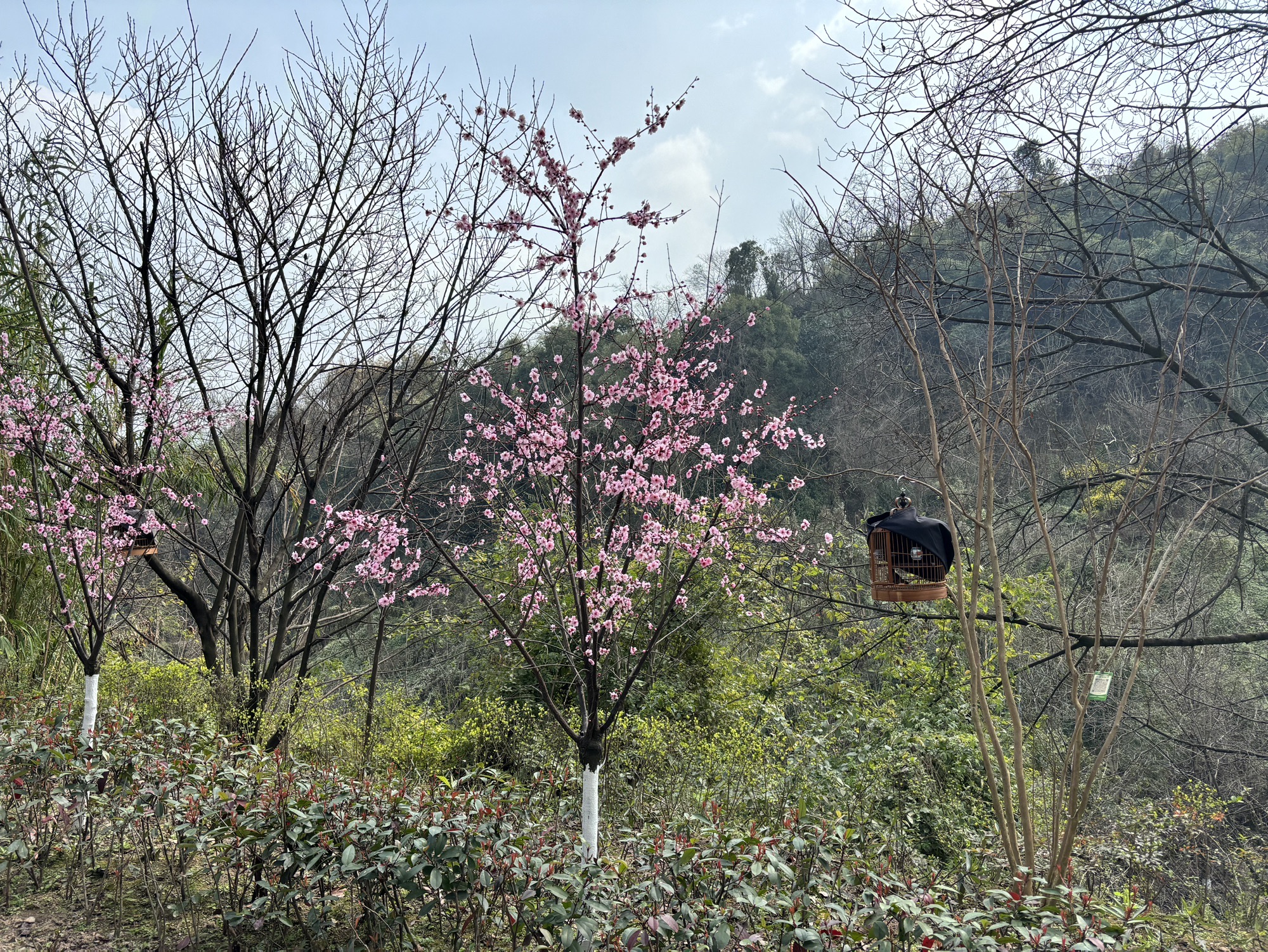 塔山公园旅行图片 3
