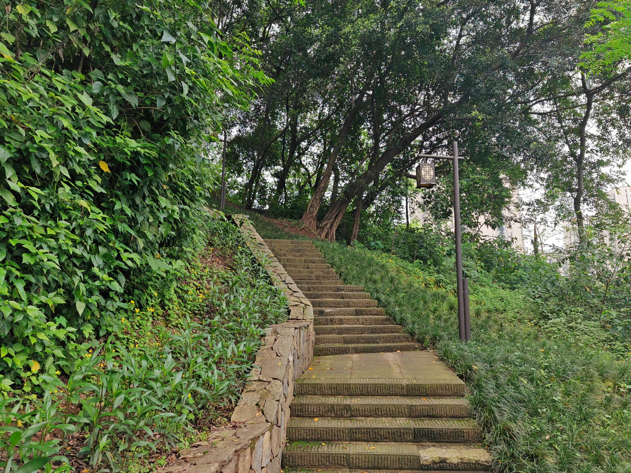 塔山公园旅行图片 3