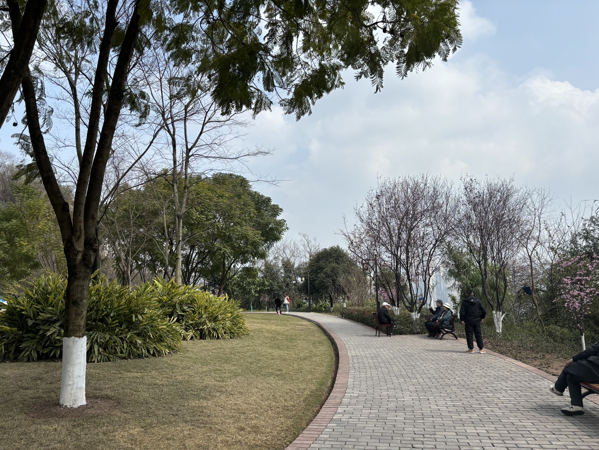 塔山公园旅行图片 1