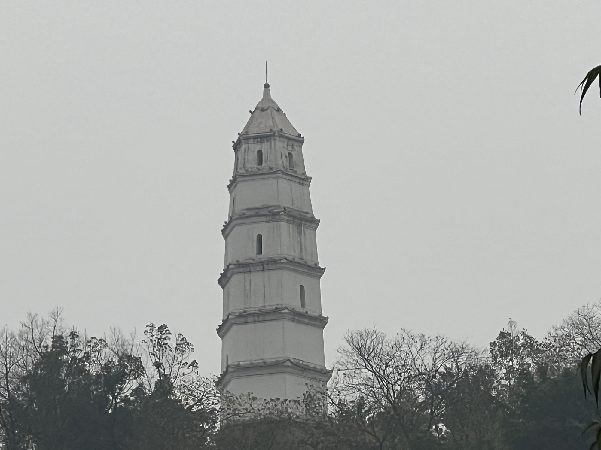 塔山公园旅行图片 2