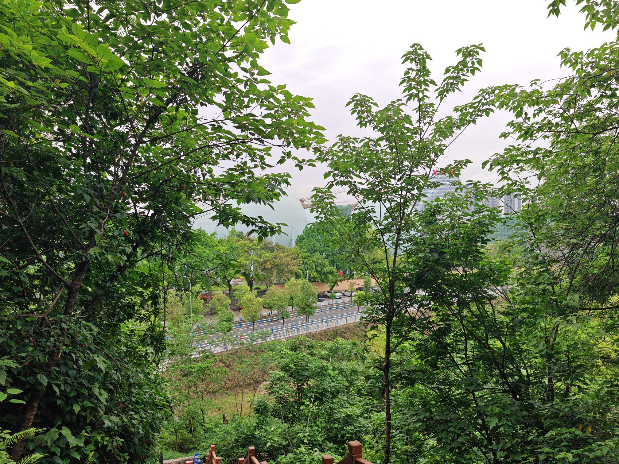 塔山公园旅行图片 2
