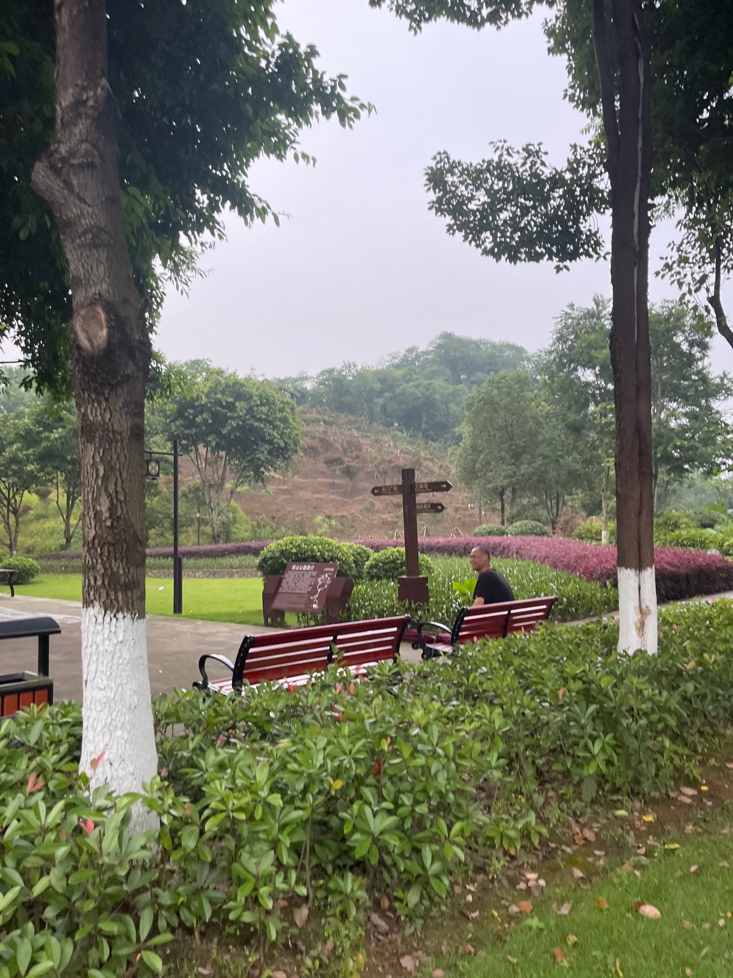 塔山公园旅行图片 3