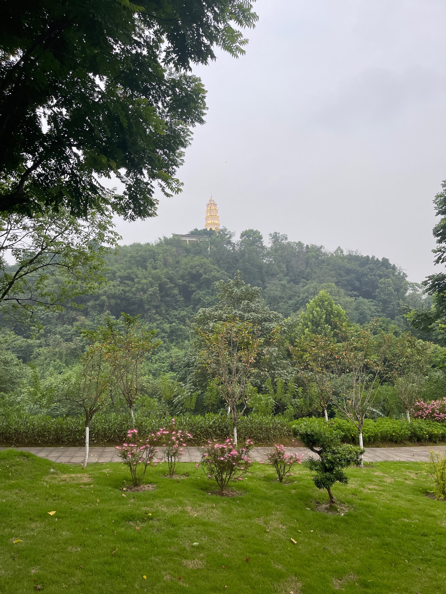 塔山公园旅行图片 2