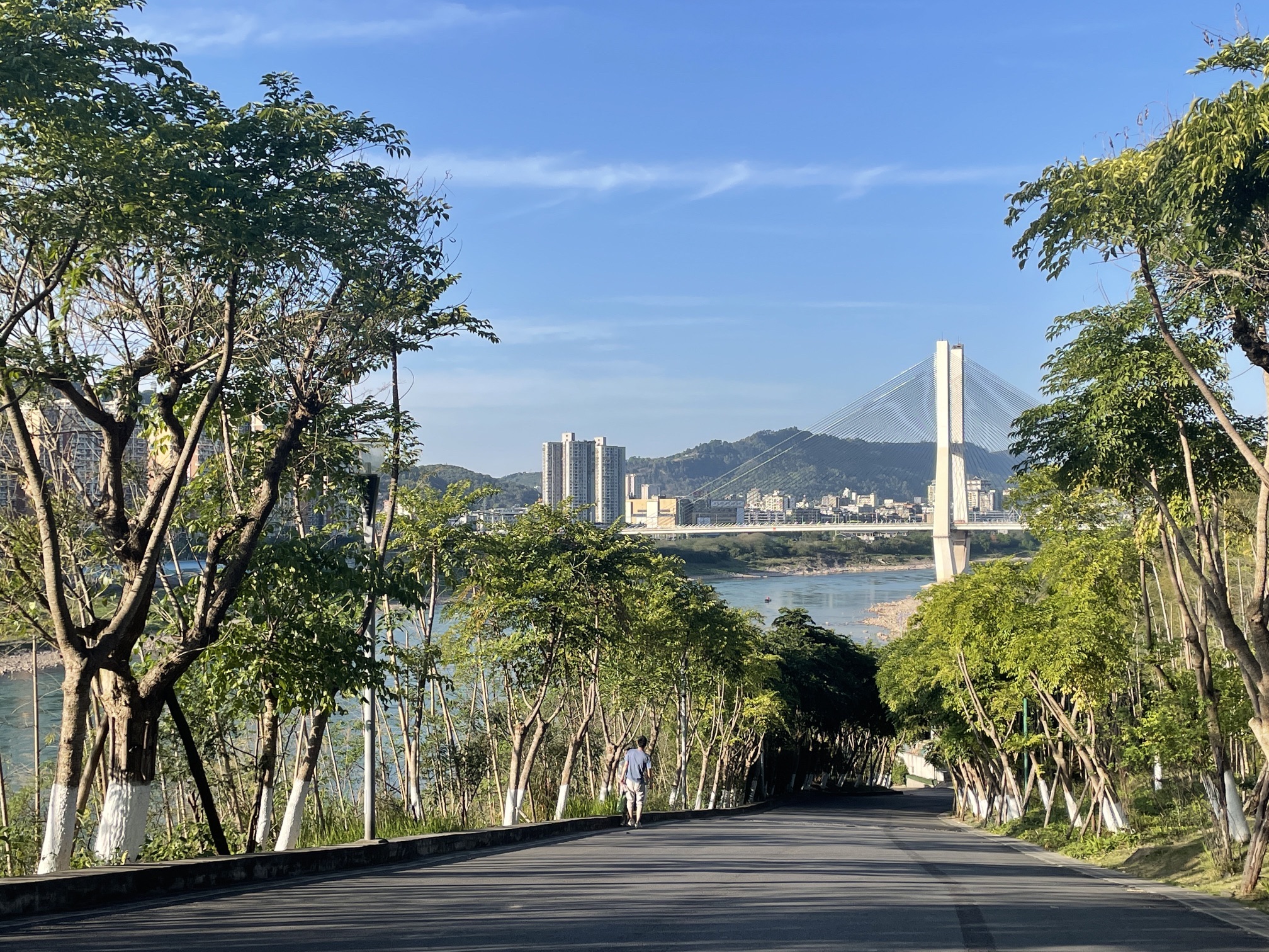 大地坡公园旅行图片 1