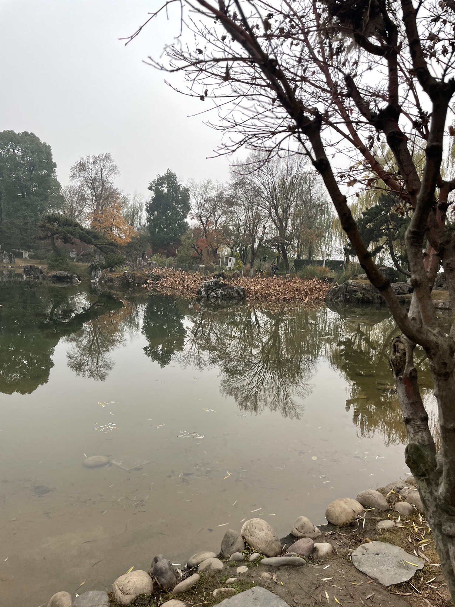 大地坡公园旅行图片 1