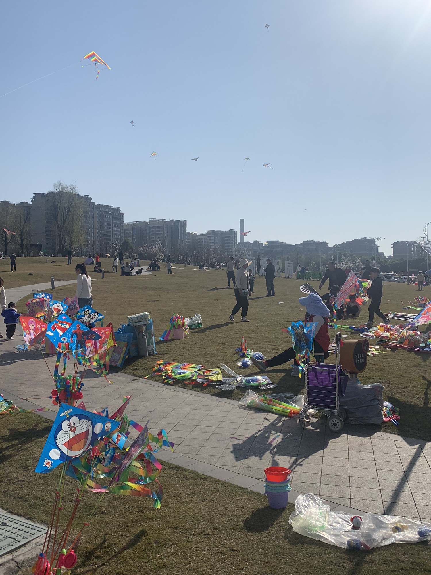 大地坡公园旅行图片 3