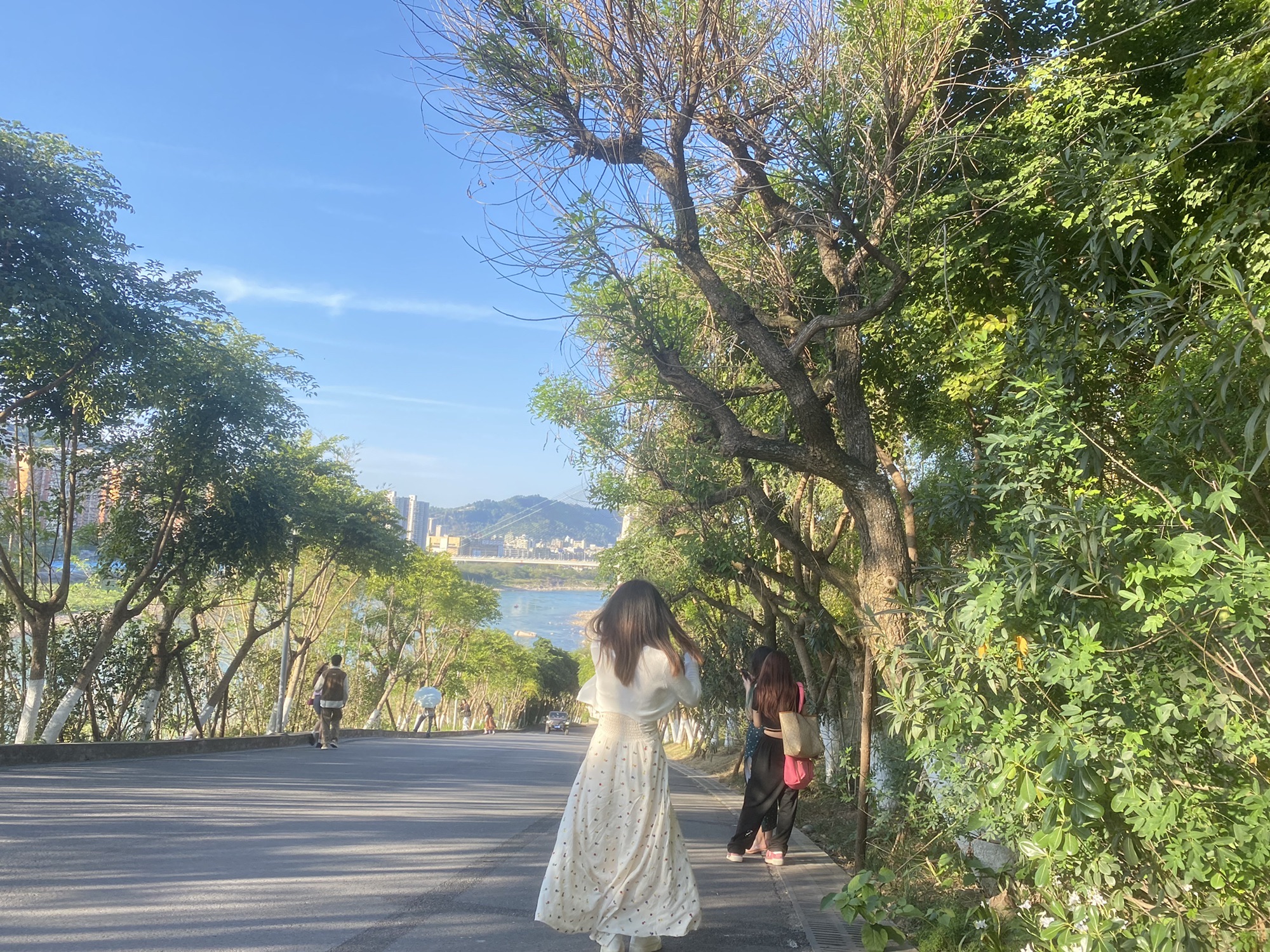 大地坡公园旅行图片 3
