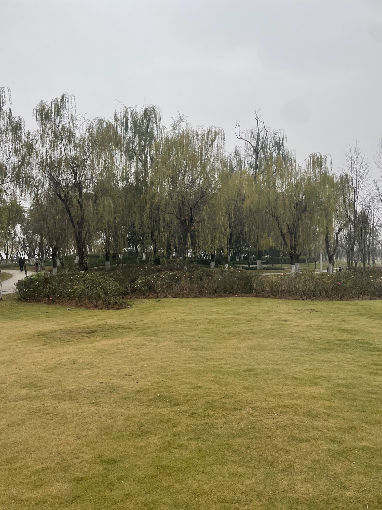 大地坡公园旅行图片 2