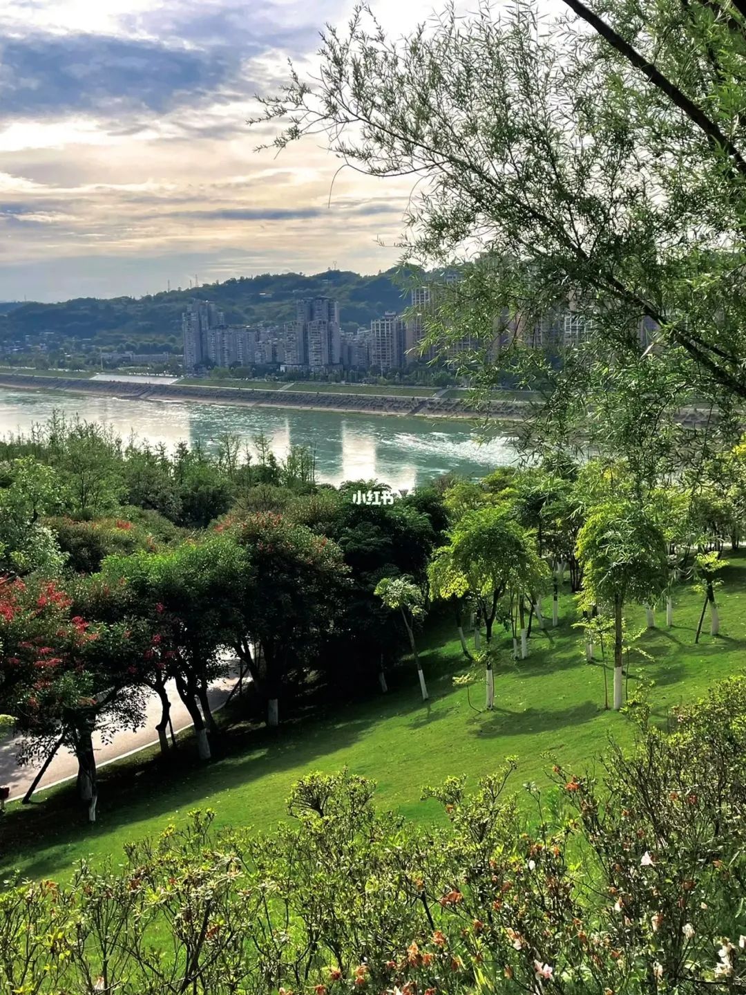 大地坡公园旅行图片 2