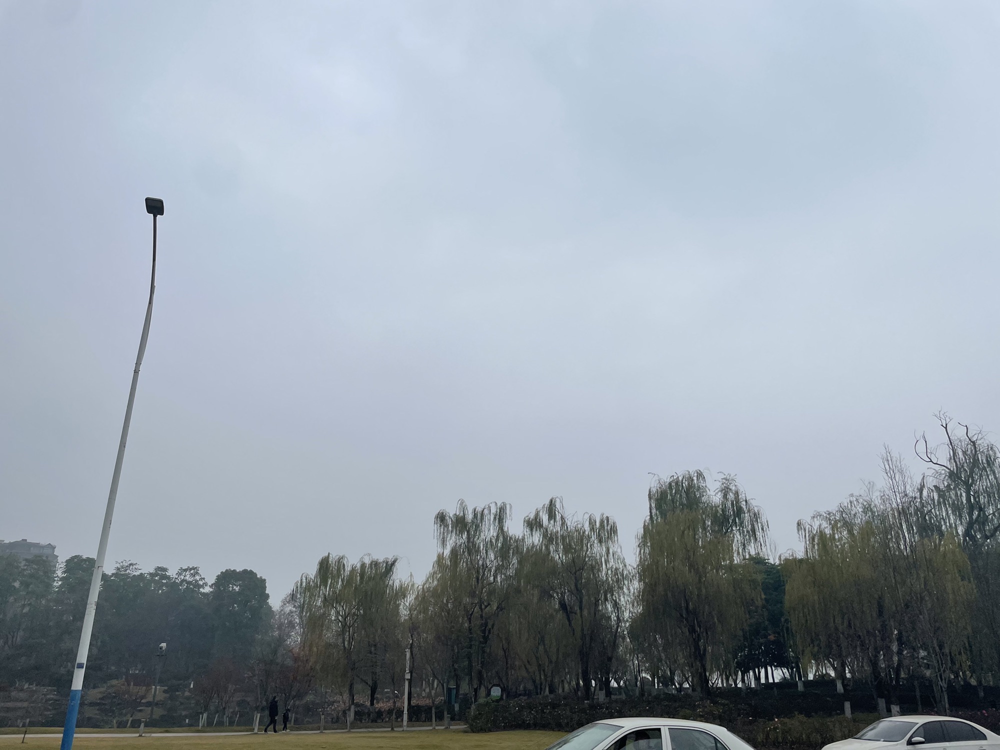 大地坡公园旅行图片 3