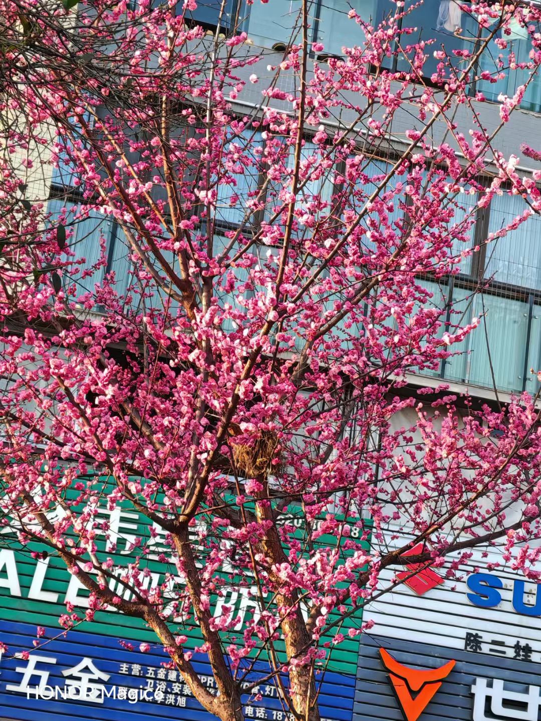 大地坡公园旅行图片 2