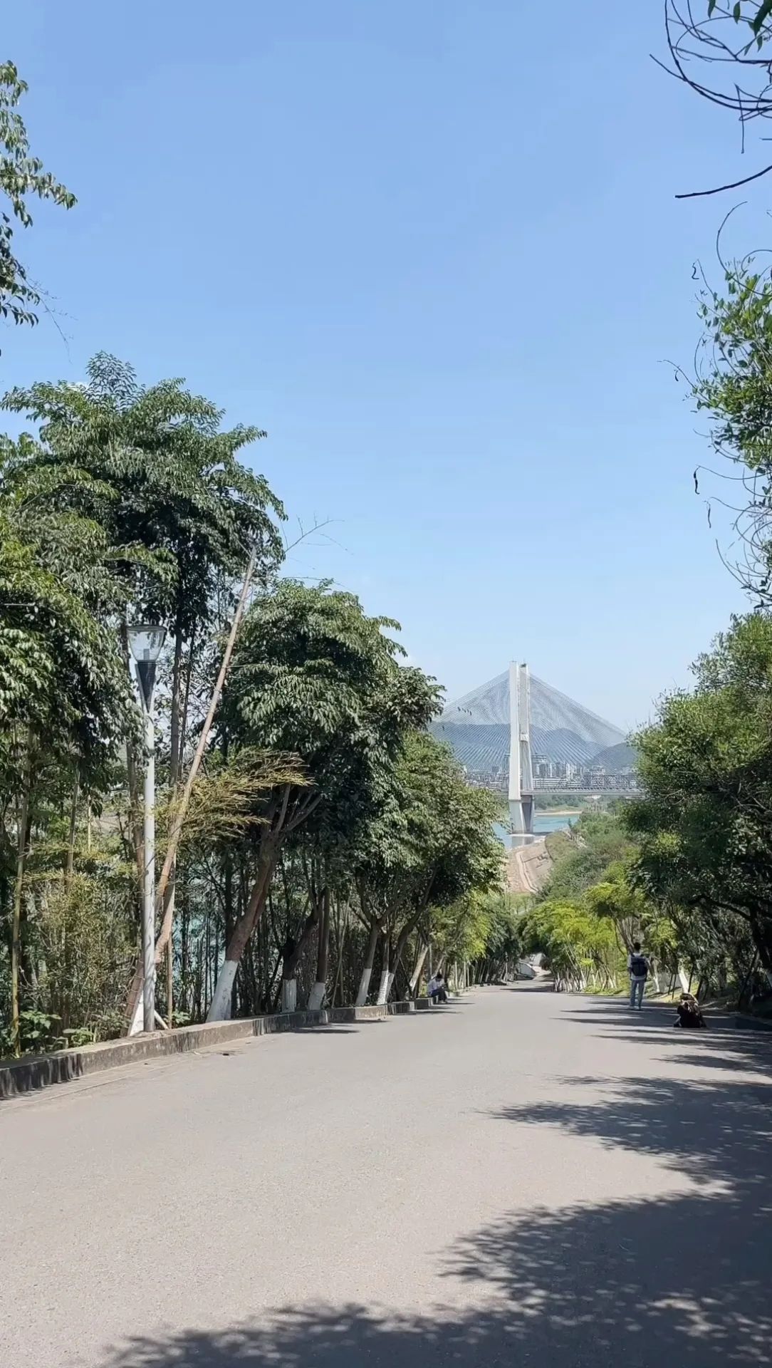 大地坡公园旅行图片 3