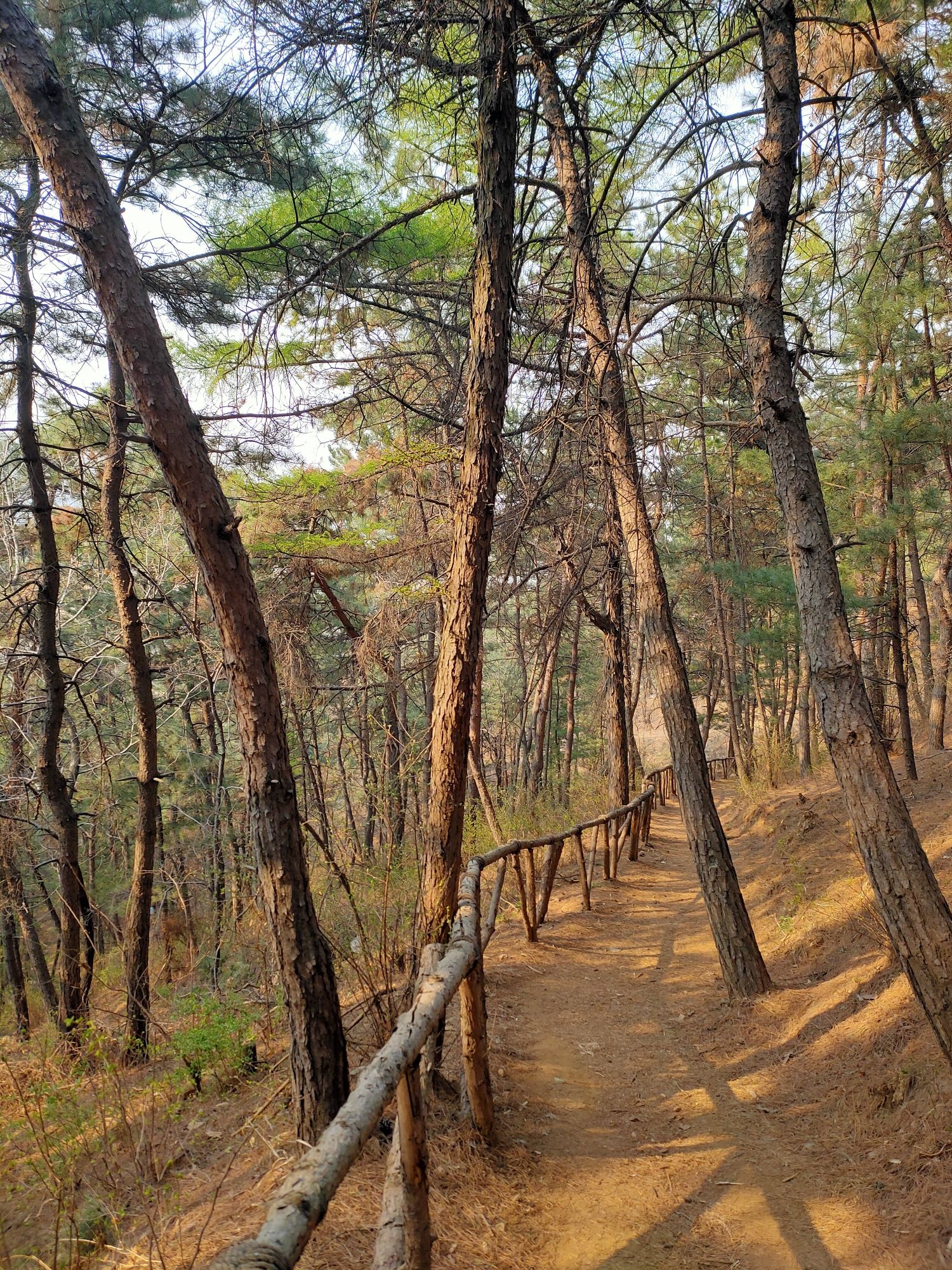 玉龙山公园旅行图片 1