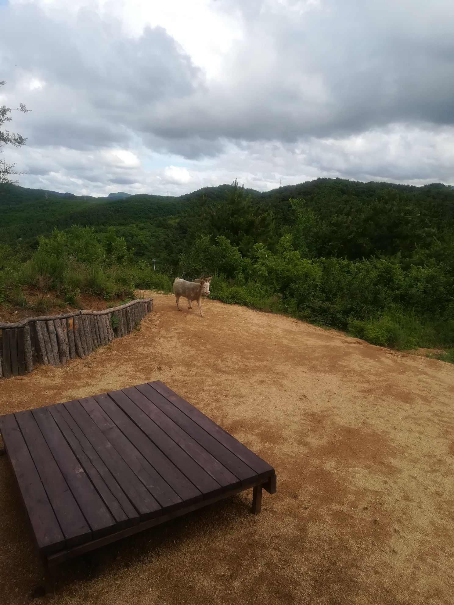 玉龙山公园旅行图片 2