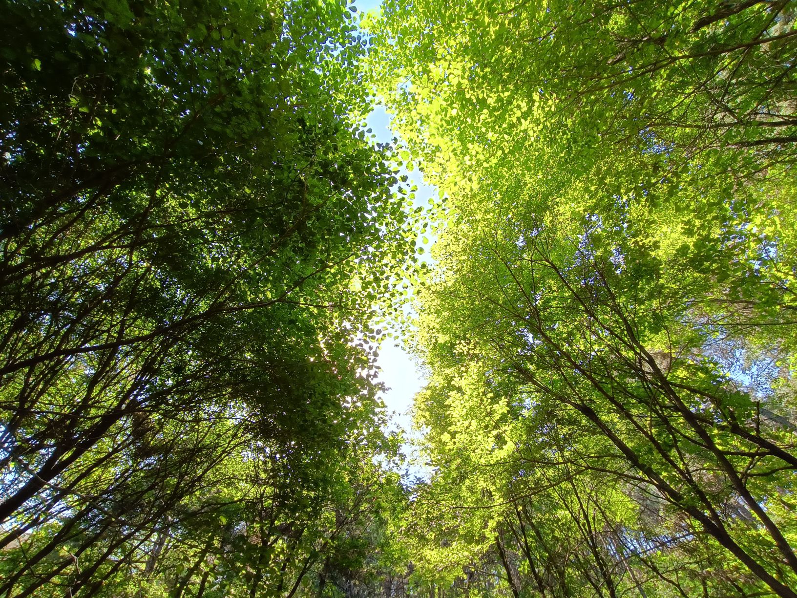 玉龙山公园旅行图片 2