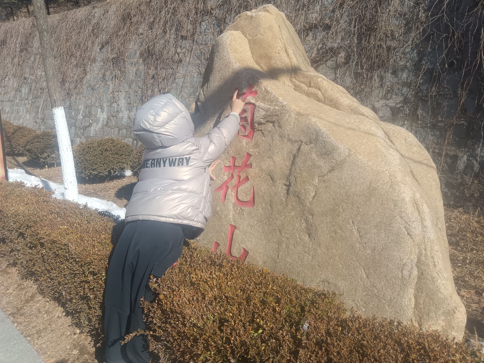 菊花山公园旅行图片 1