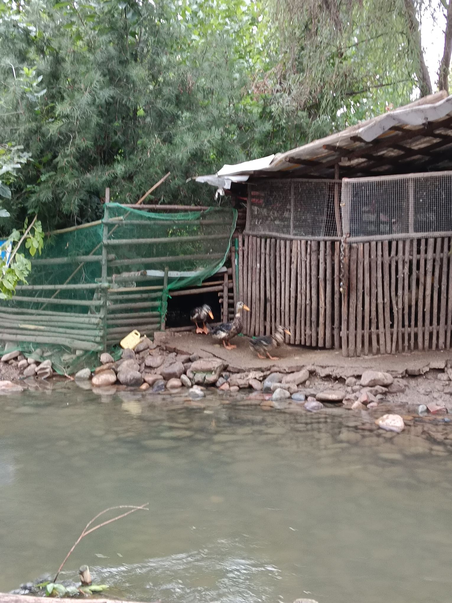 伊水游园旅行图片 2