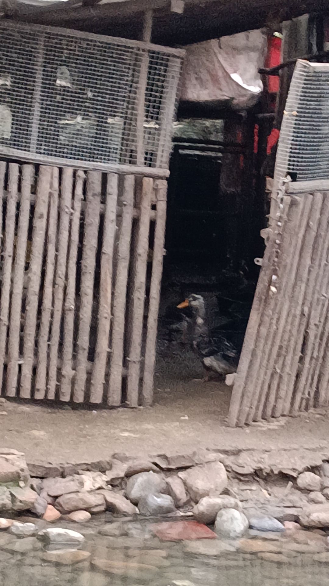 伊水游园旅行图片 1