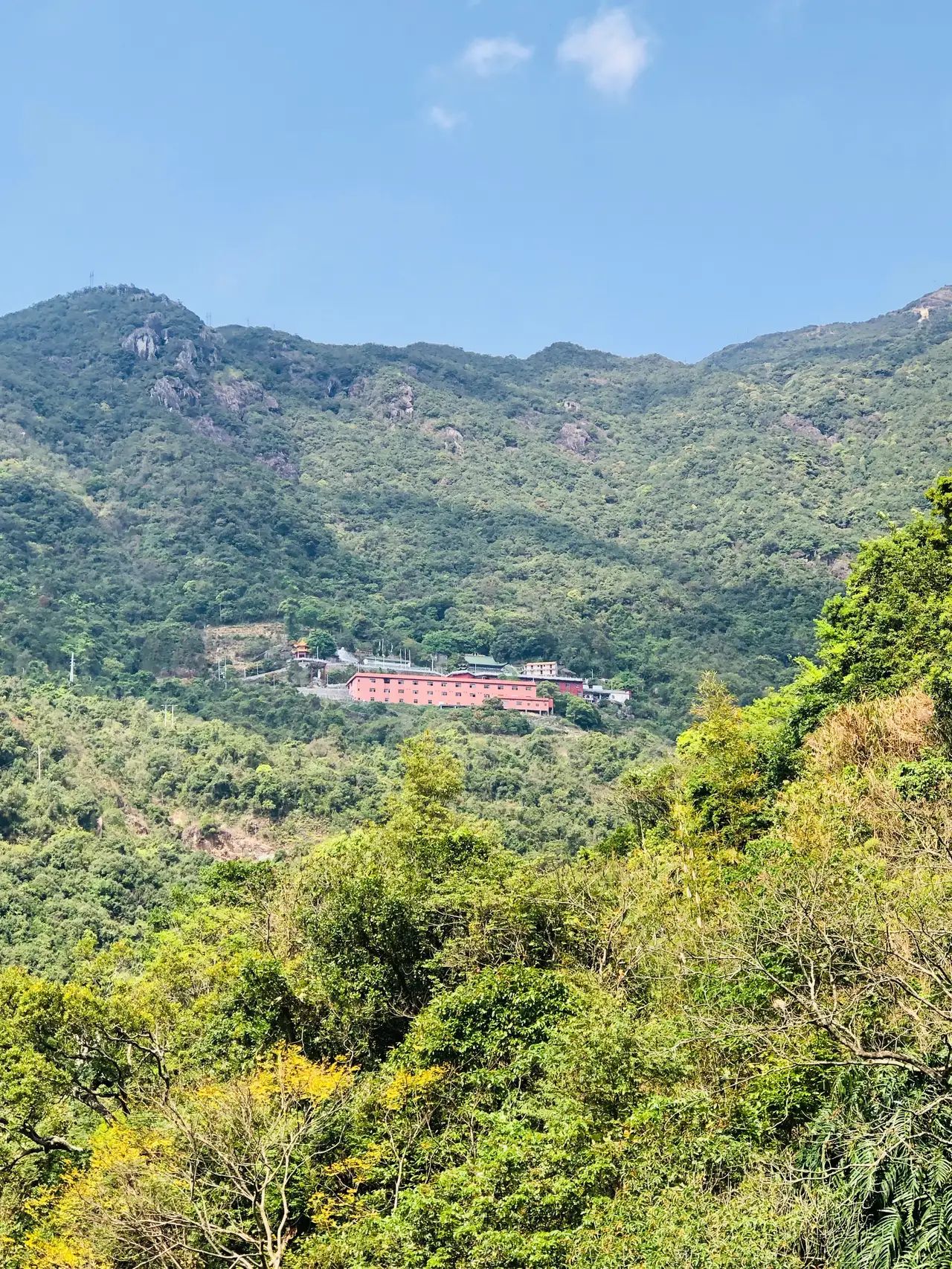 龙岩寺旅行图片 3