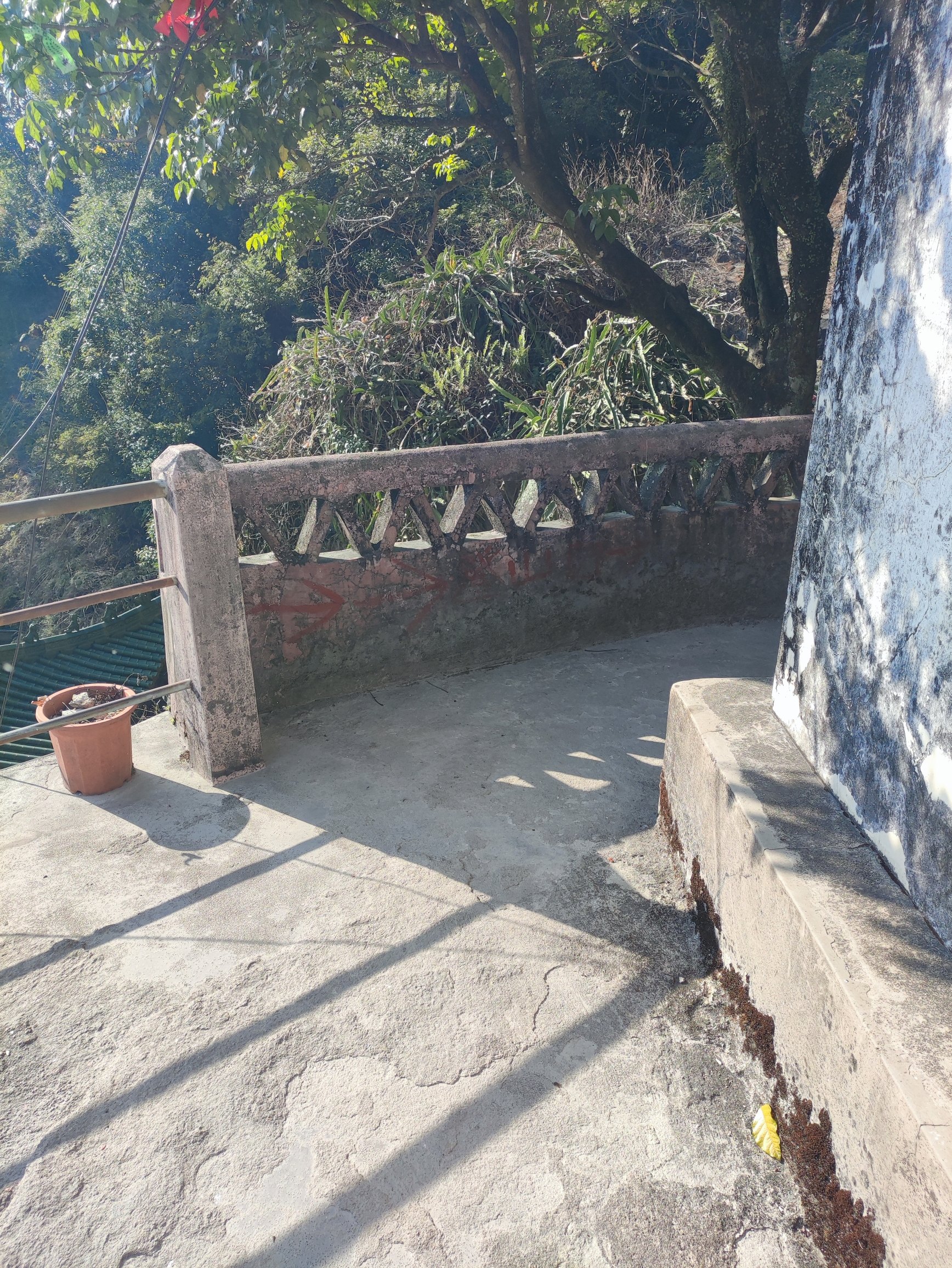 龙岩寺旅行图片 2